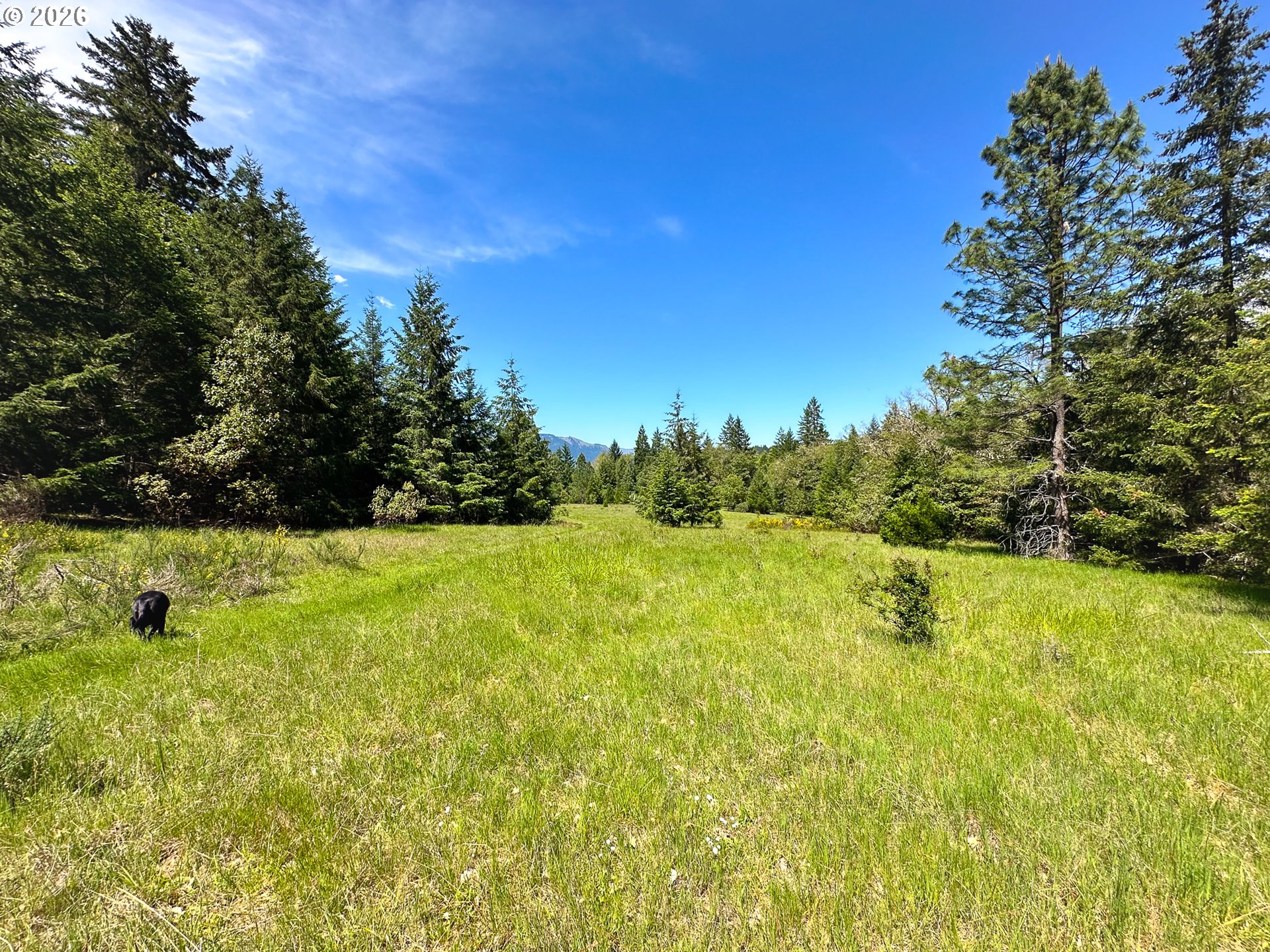 2894 Coos Bay Wagon Rd Property Photo 32