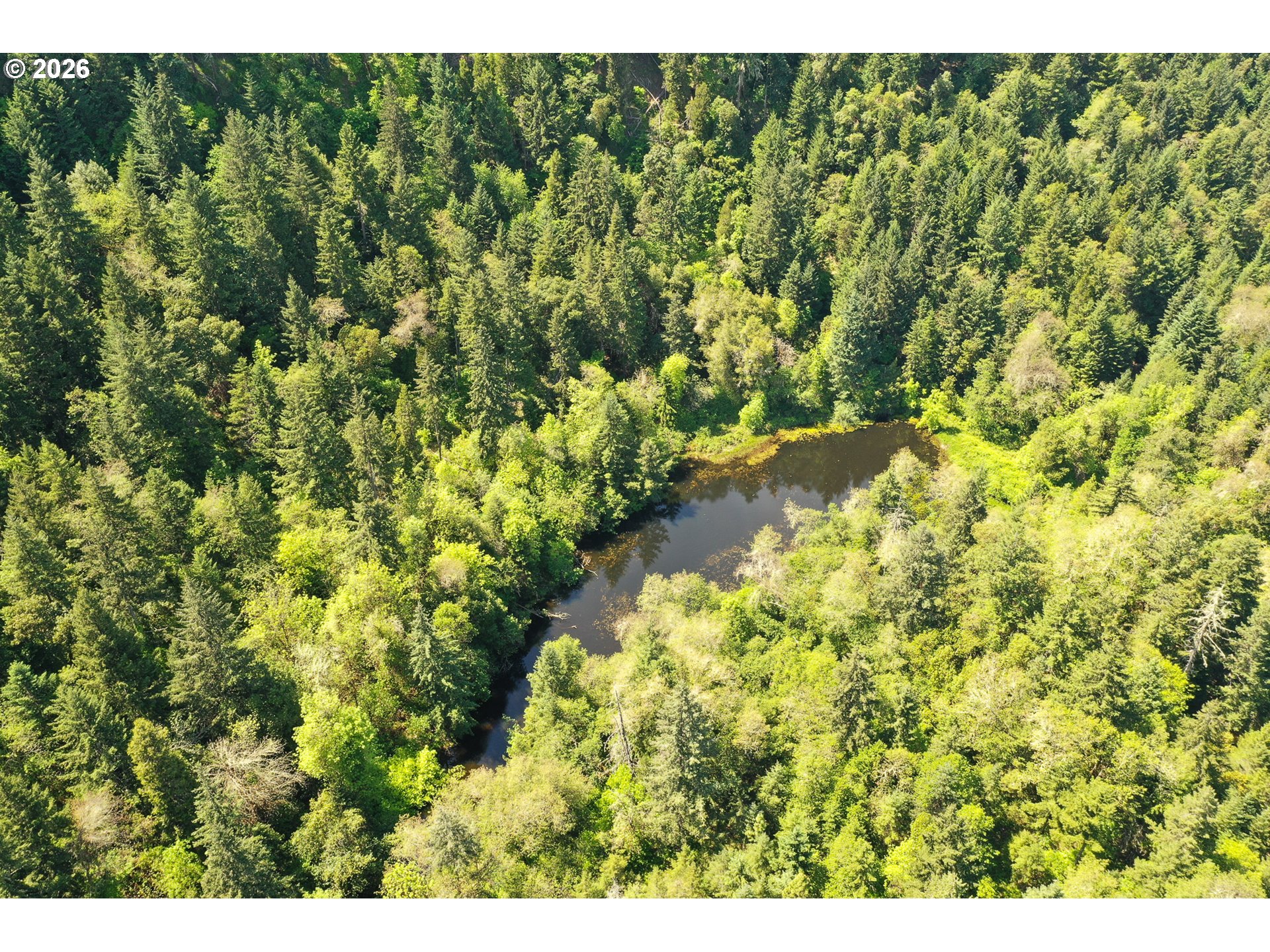 2894 Coos Bay Wagon Rd Property Photo 38