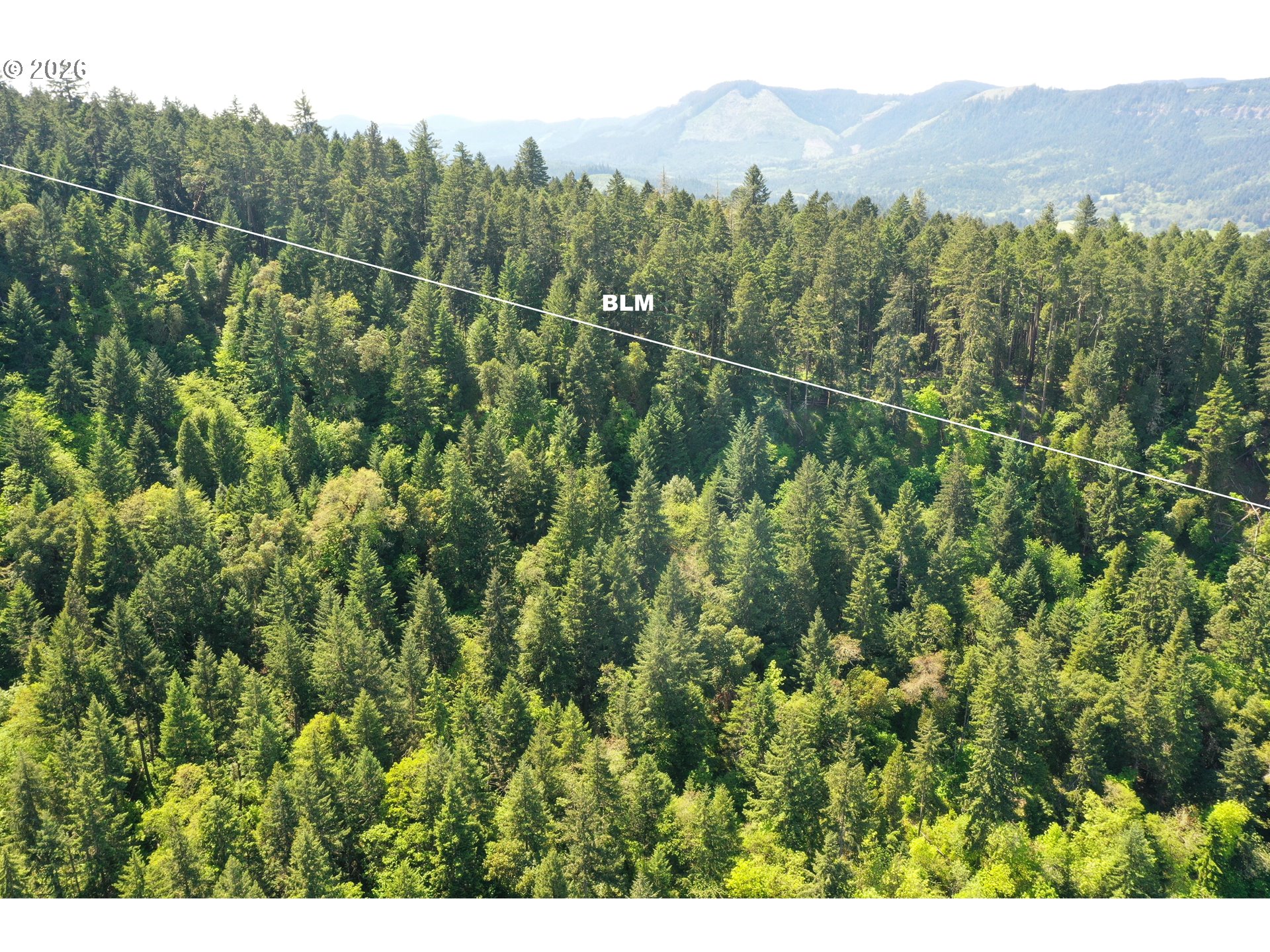 2894 Coos Bay Wagon Rd Property Photo 44
