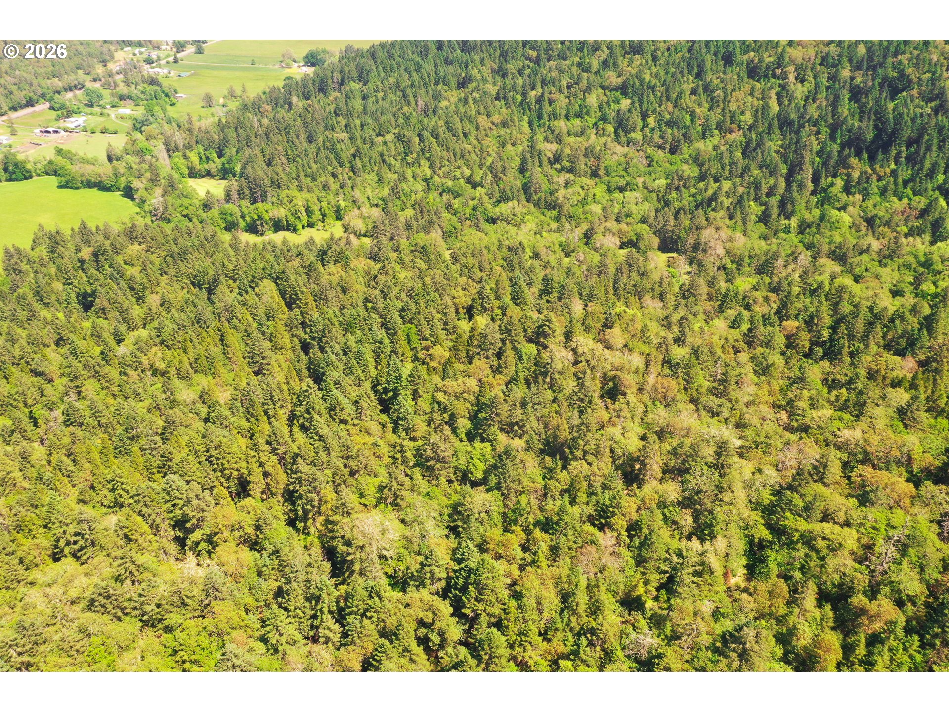 2894 Coos Bay Wagon Rd Property Photo 46