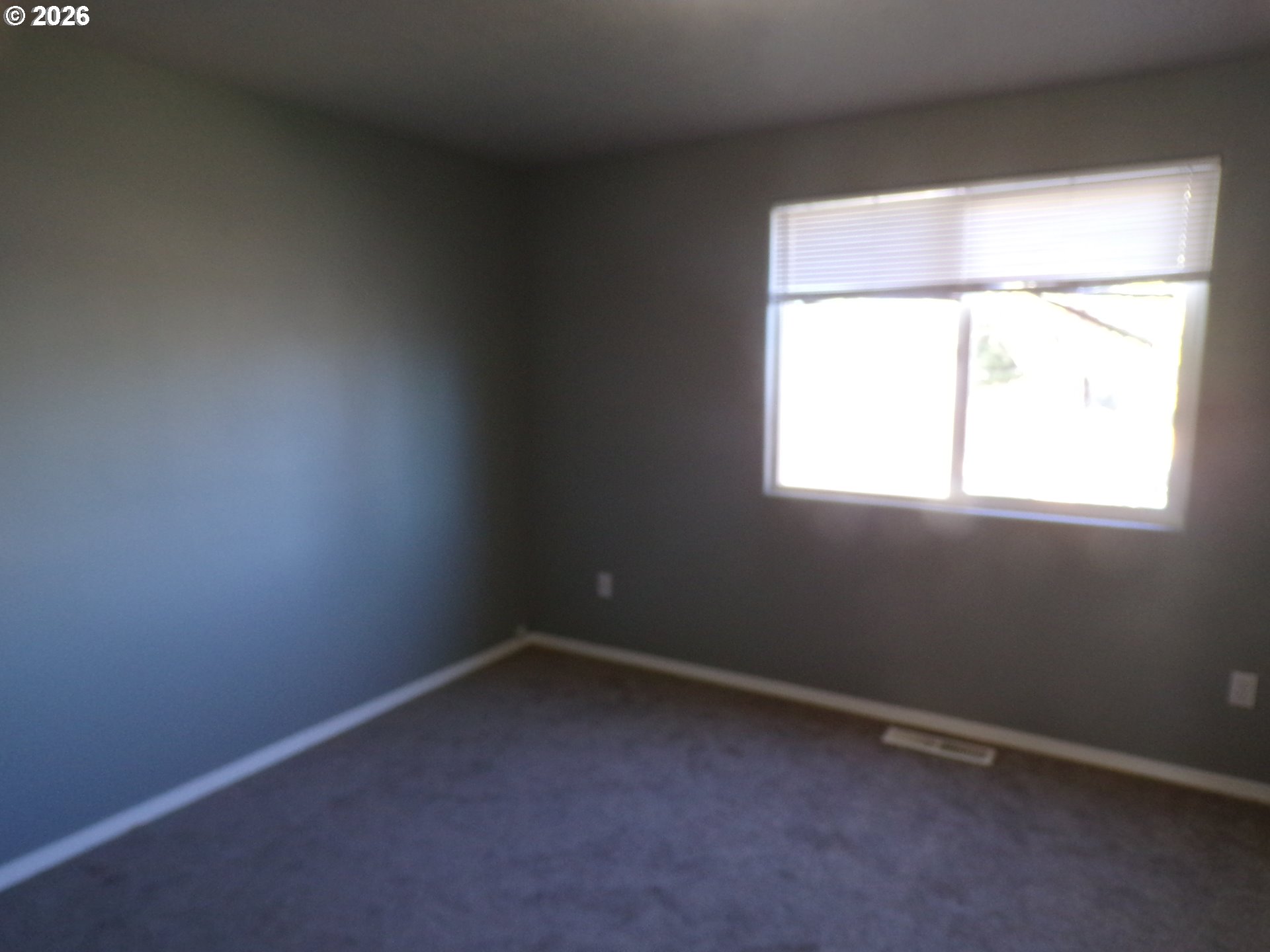 1662 Cherry Bark Ct Property Photo 14