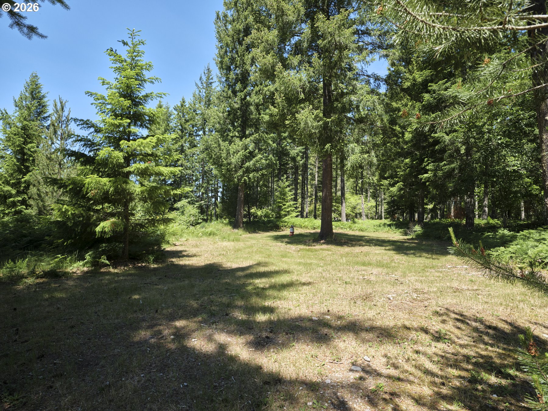 Loowit LN Property Photo 1