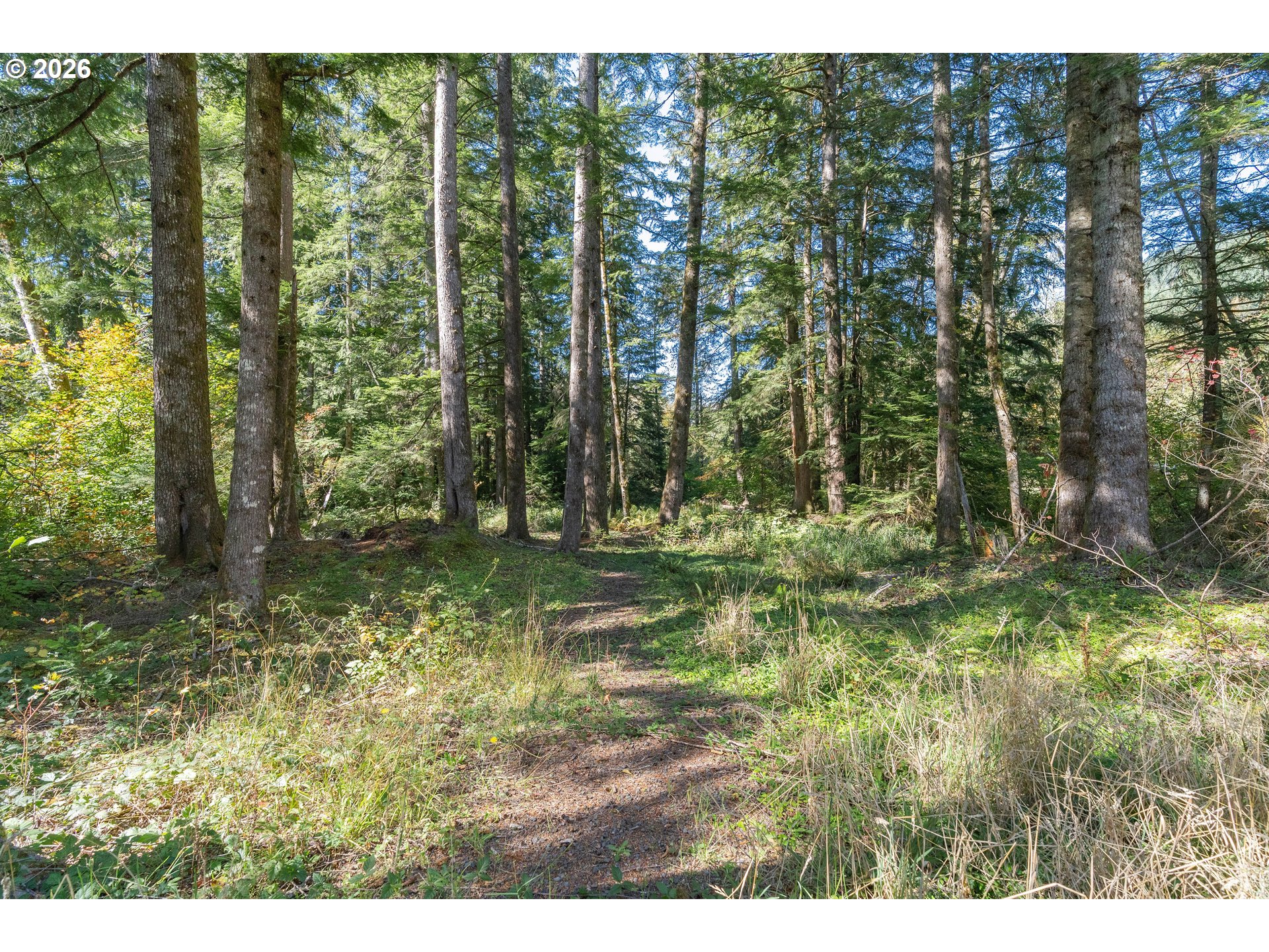67159 E Barlow Trail Rd Property Photo 2