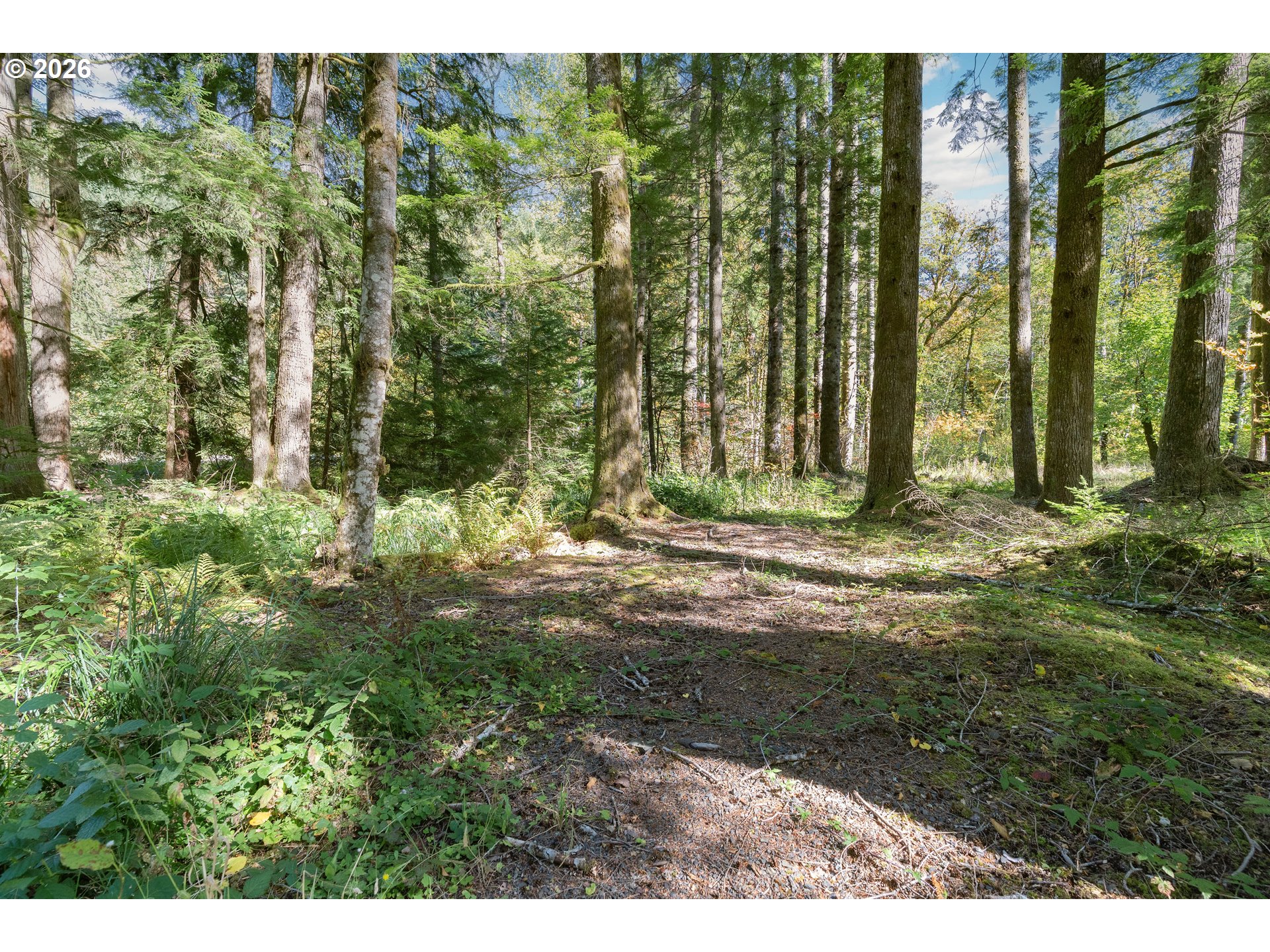 67159 E Barlow Trail Rd Property Photo 3