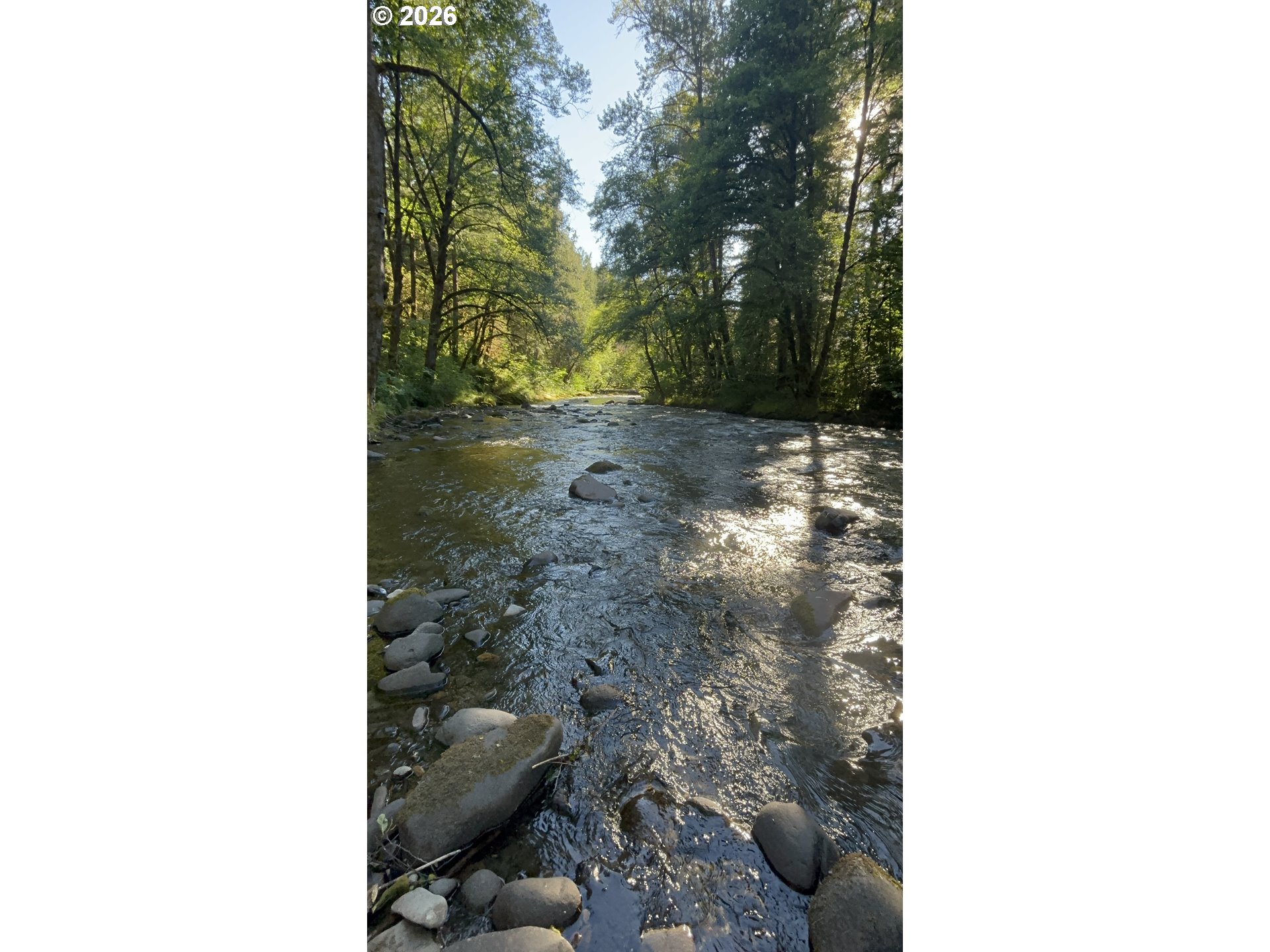 49091 Salt Creek Rd Property Photo 10
