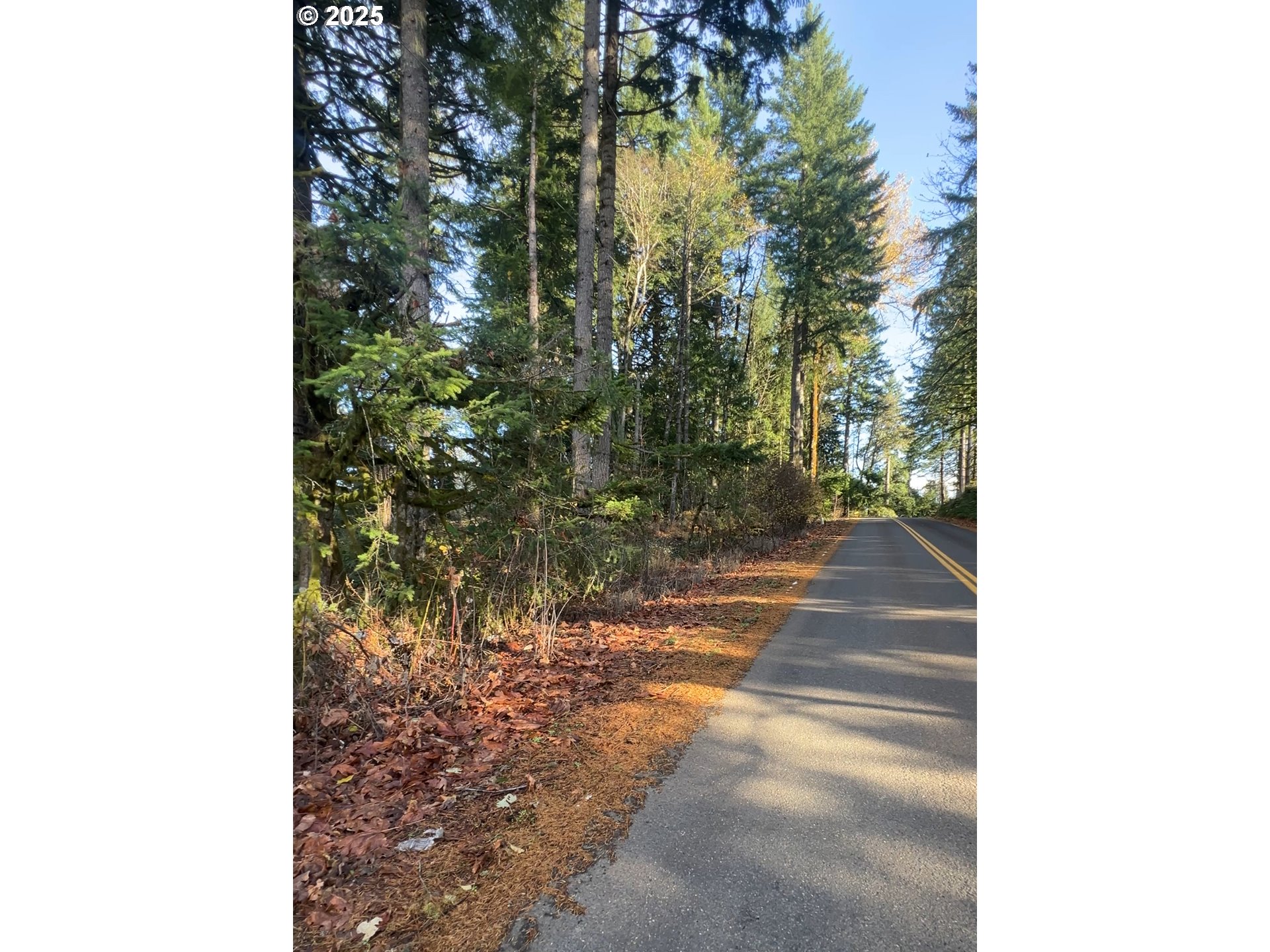 E Larch Mountain Rd Property Photo 3