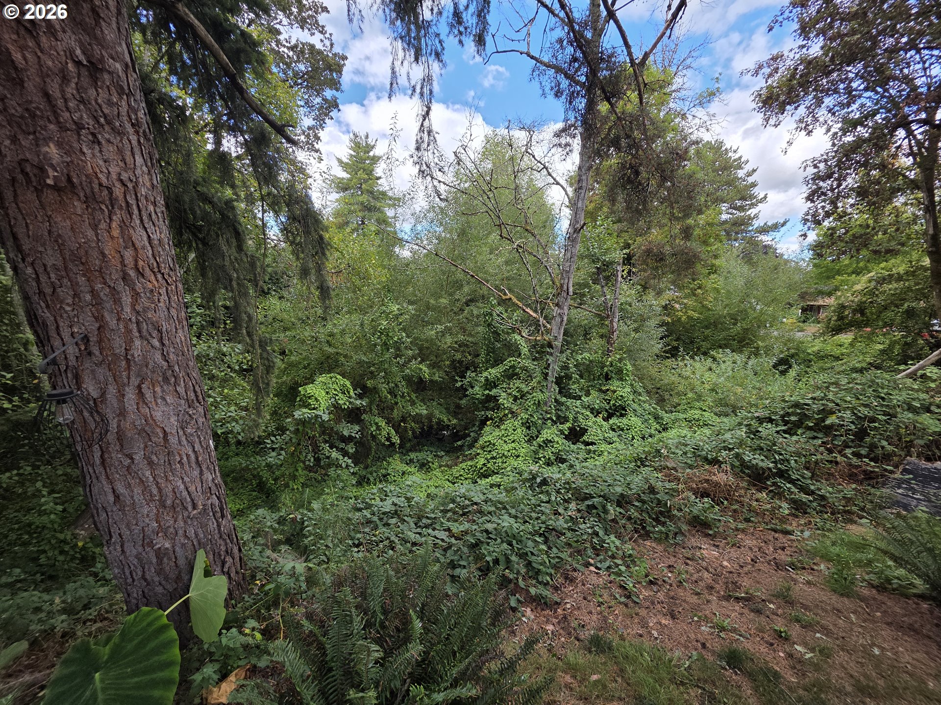 14737 Sw Hall Blvd Property Photo 20