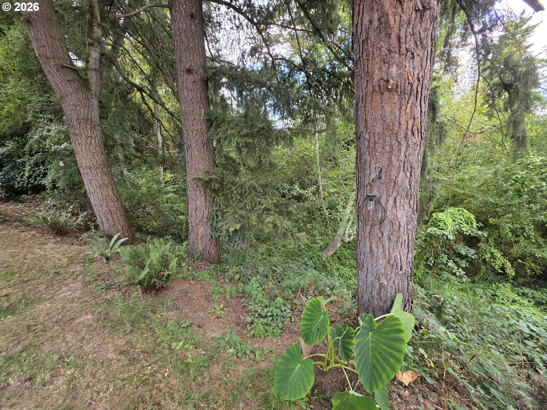 14737 Sw Hall Blvd Property Photo 21