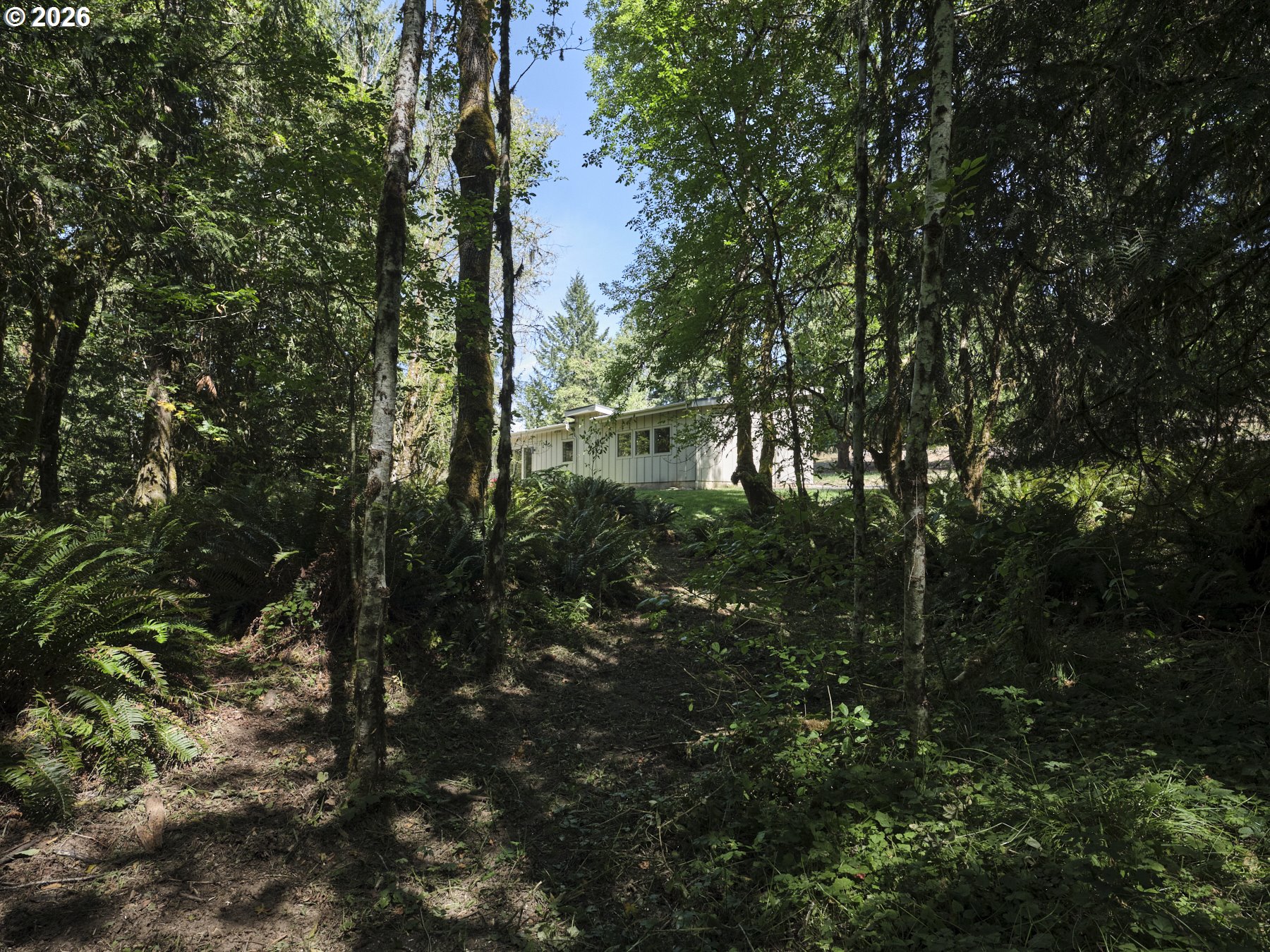 956 Paine Rd Property Photo 48