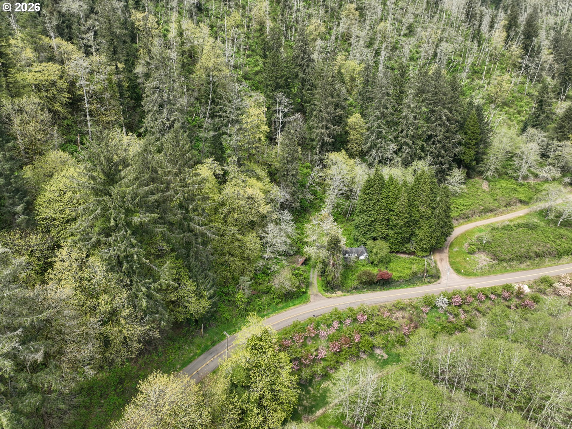 9150 Kilchis River Rd Property Photo 1