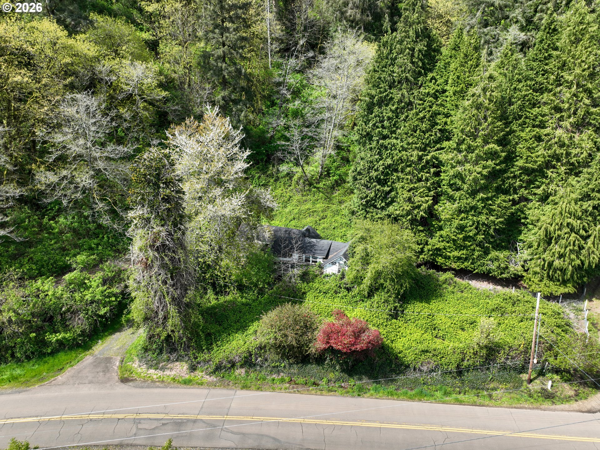 9150 Kilchis River Rd Property Photo 2