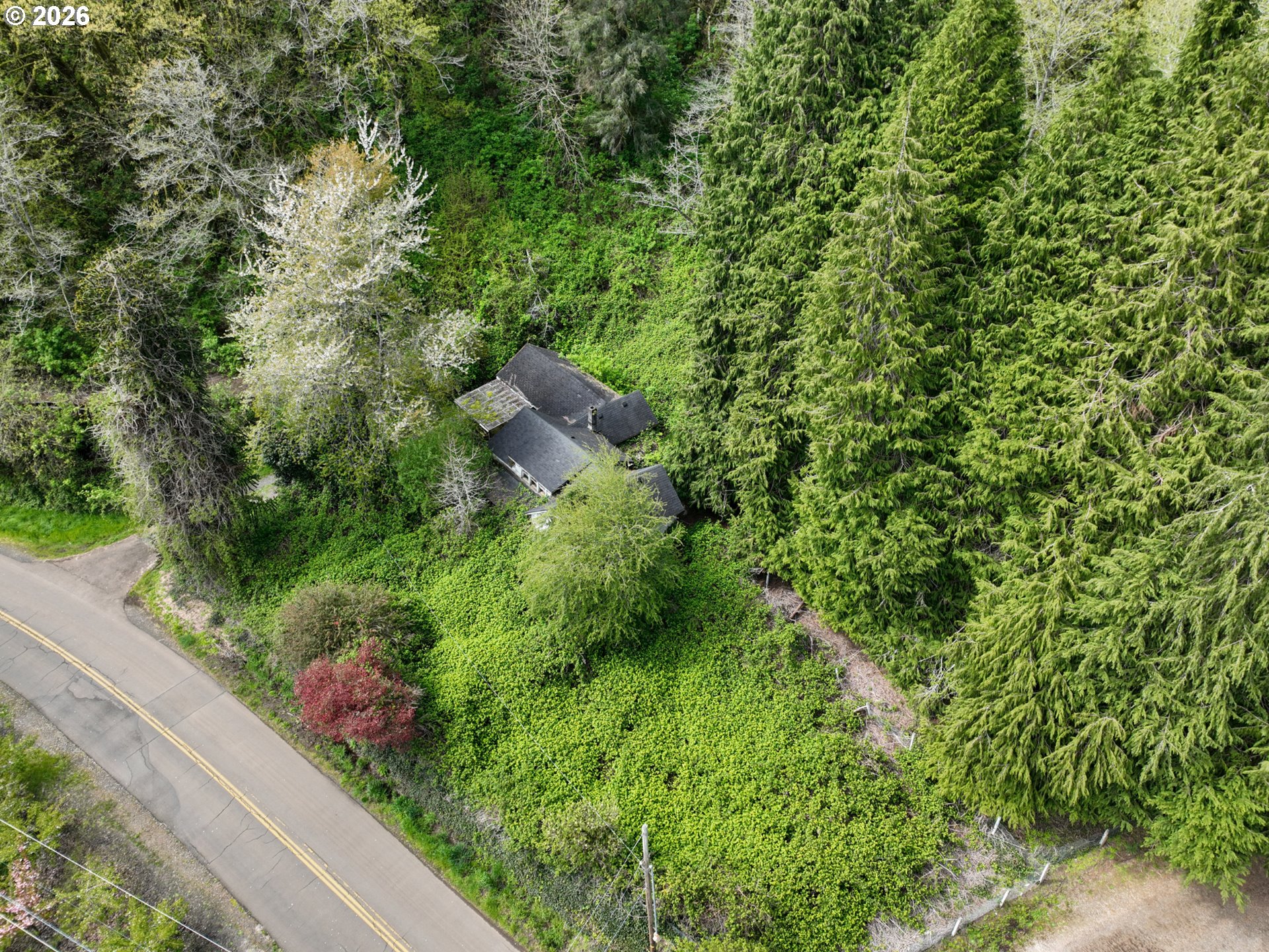 9150 Kilchis River Rd Property Photo 3