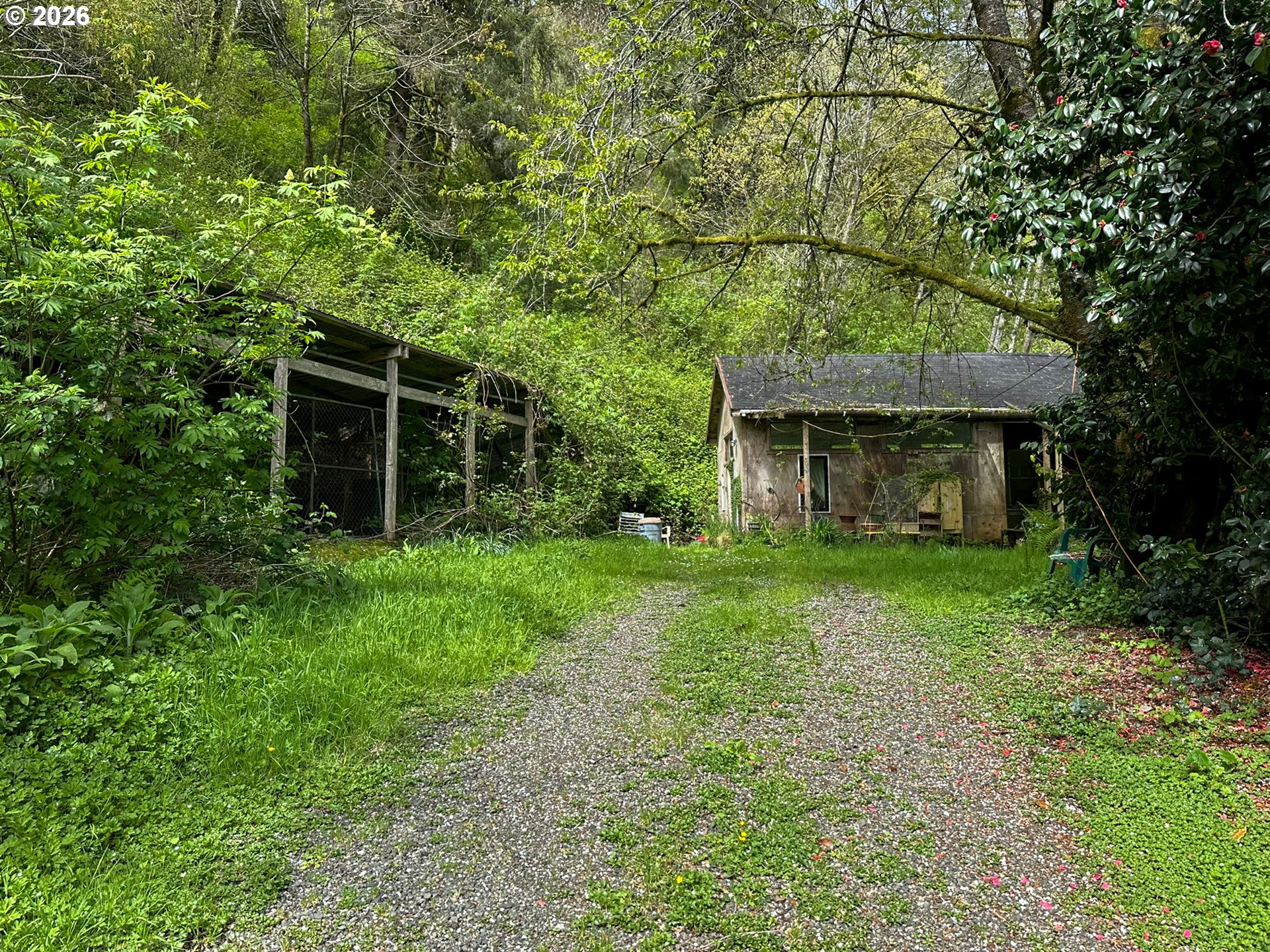 9150 Kilchis River Rd Property Photo 4