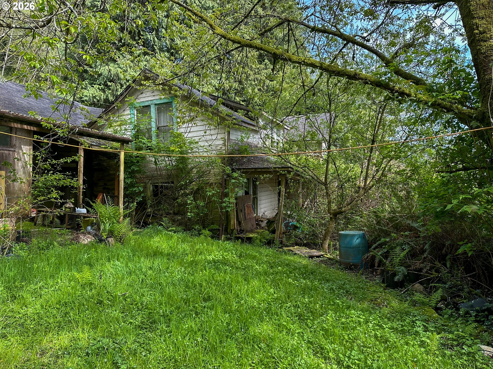 9150 Kilchis River Rd Property Photo 5