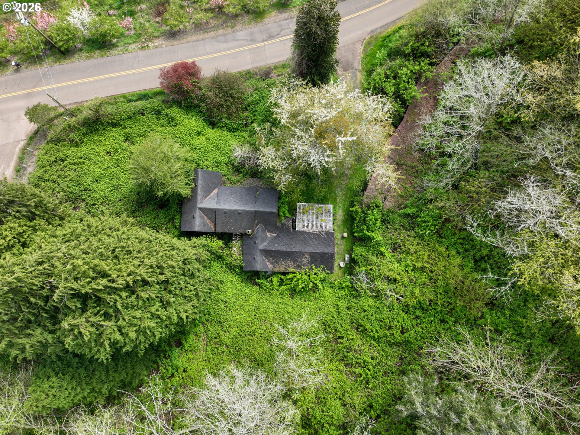 9150 Kilchis River Rd Property Photo 8