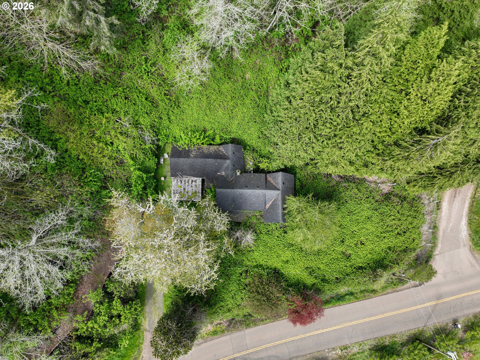 9150 Kilchis River Rd Property Photo 12