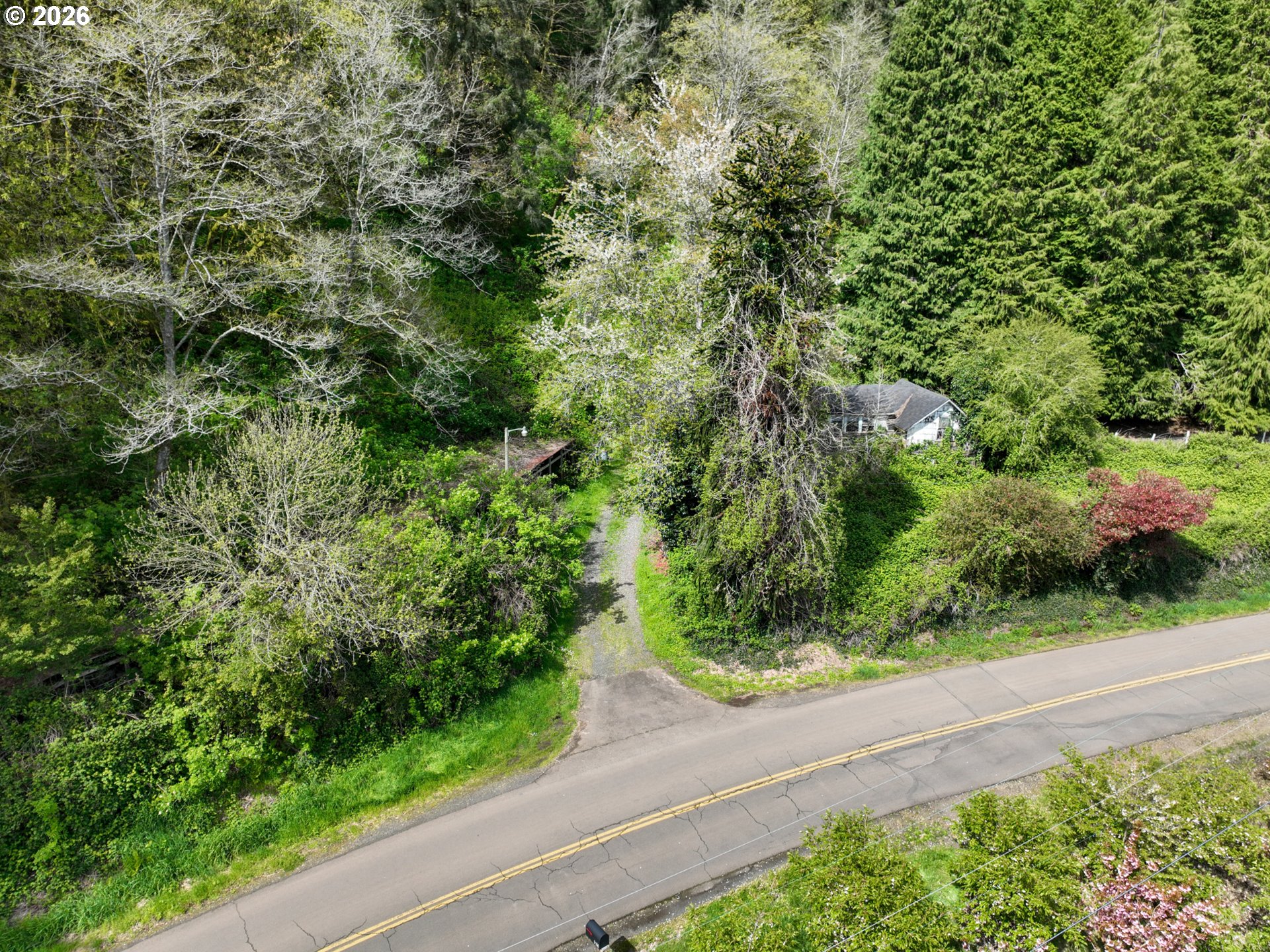 9150 Kilchis River Rd Property Photo 14