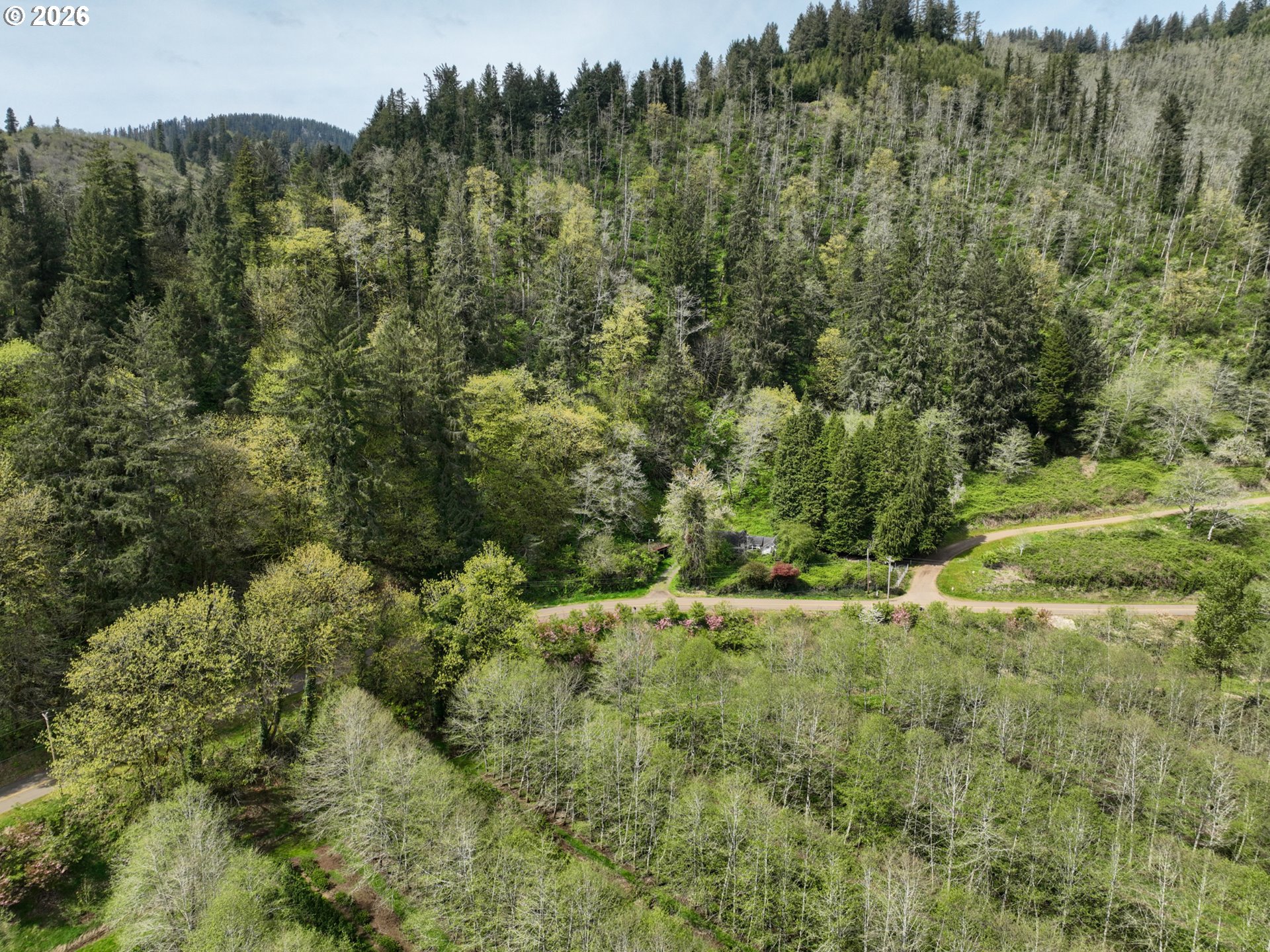 9150 Kilchis River Rd Property Photo 16