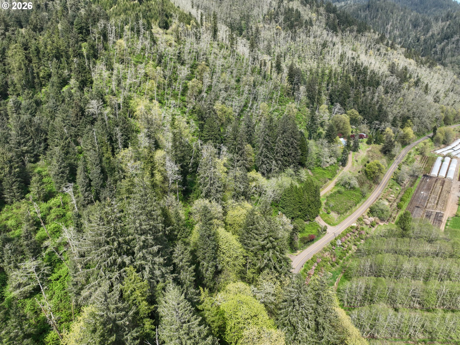 9150 Kilchis River Rd Property Photo 17