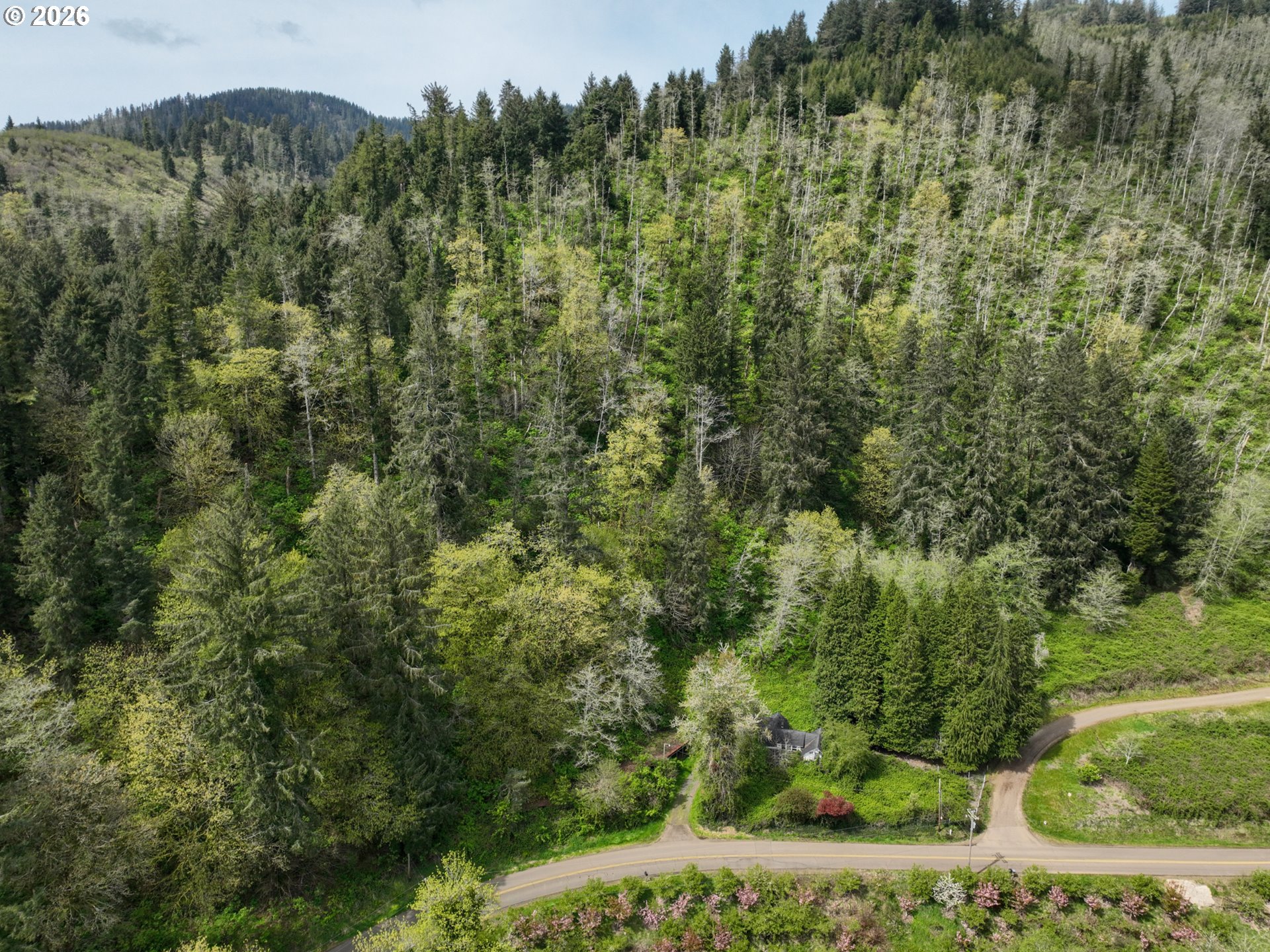 9150 Kilchis River Rd Property Photo 19