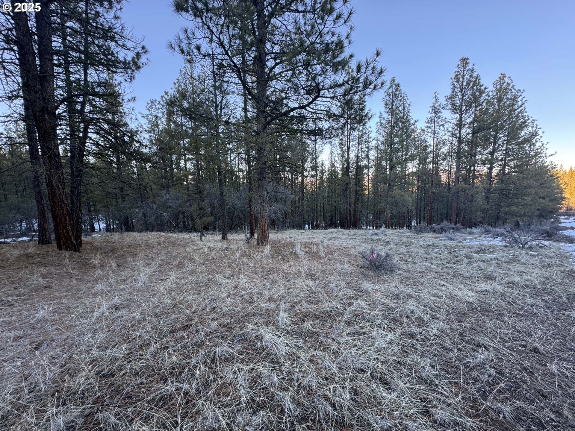 Bobcat Cir Lot 7 Property Photo 2