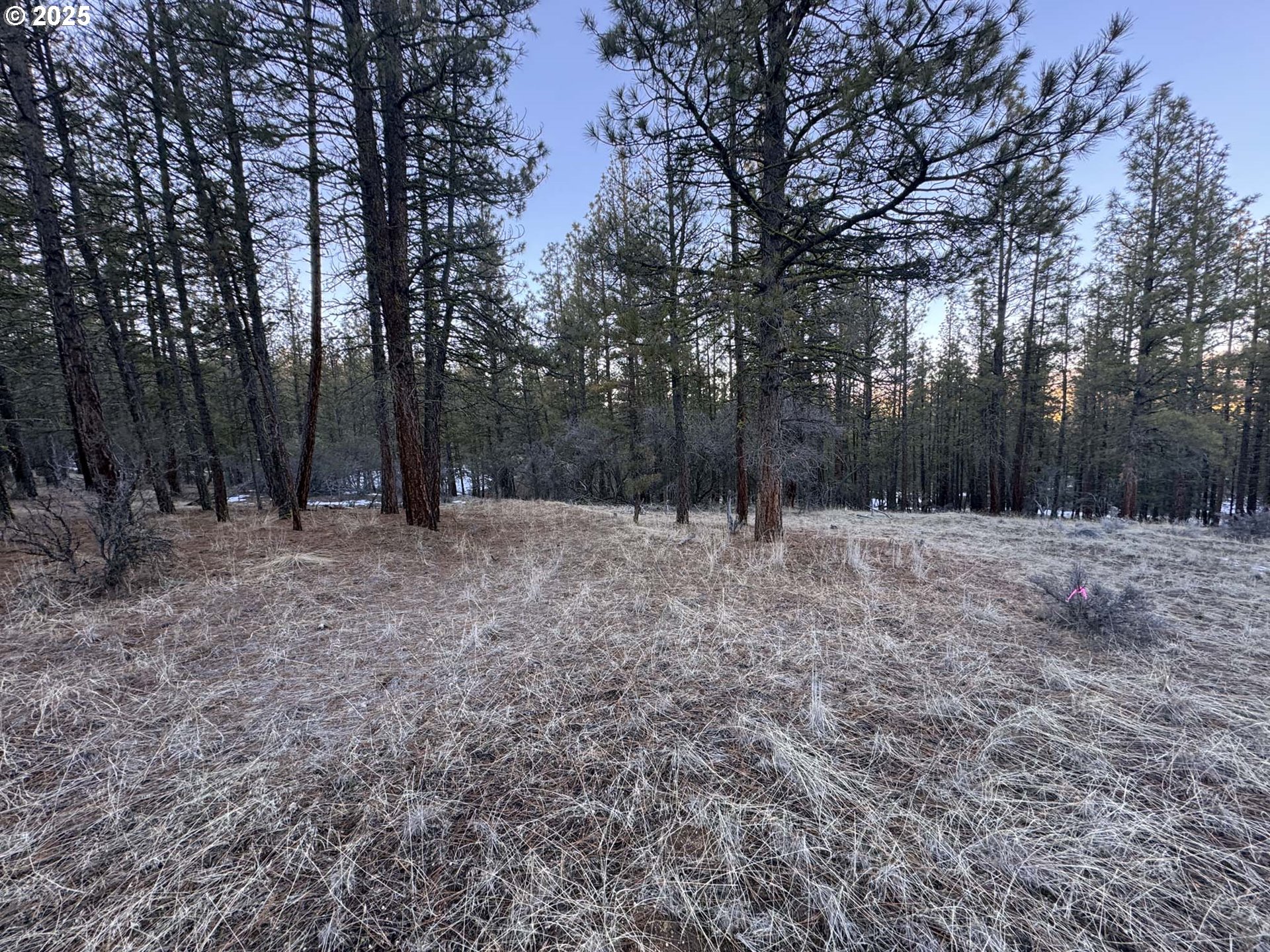 Bobcat Cir Lot 7 Property Photo 3