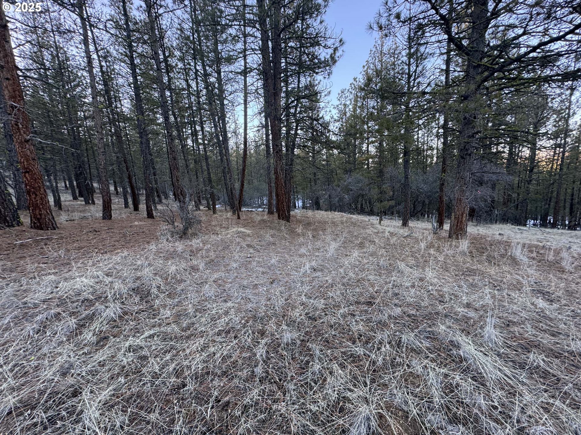 Bobcat Cir Lot 7 Property Photo 4