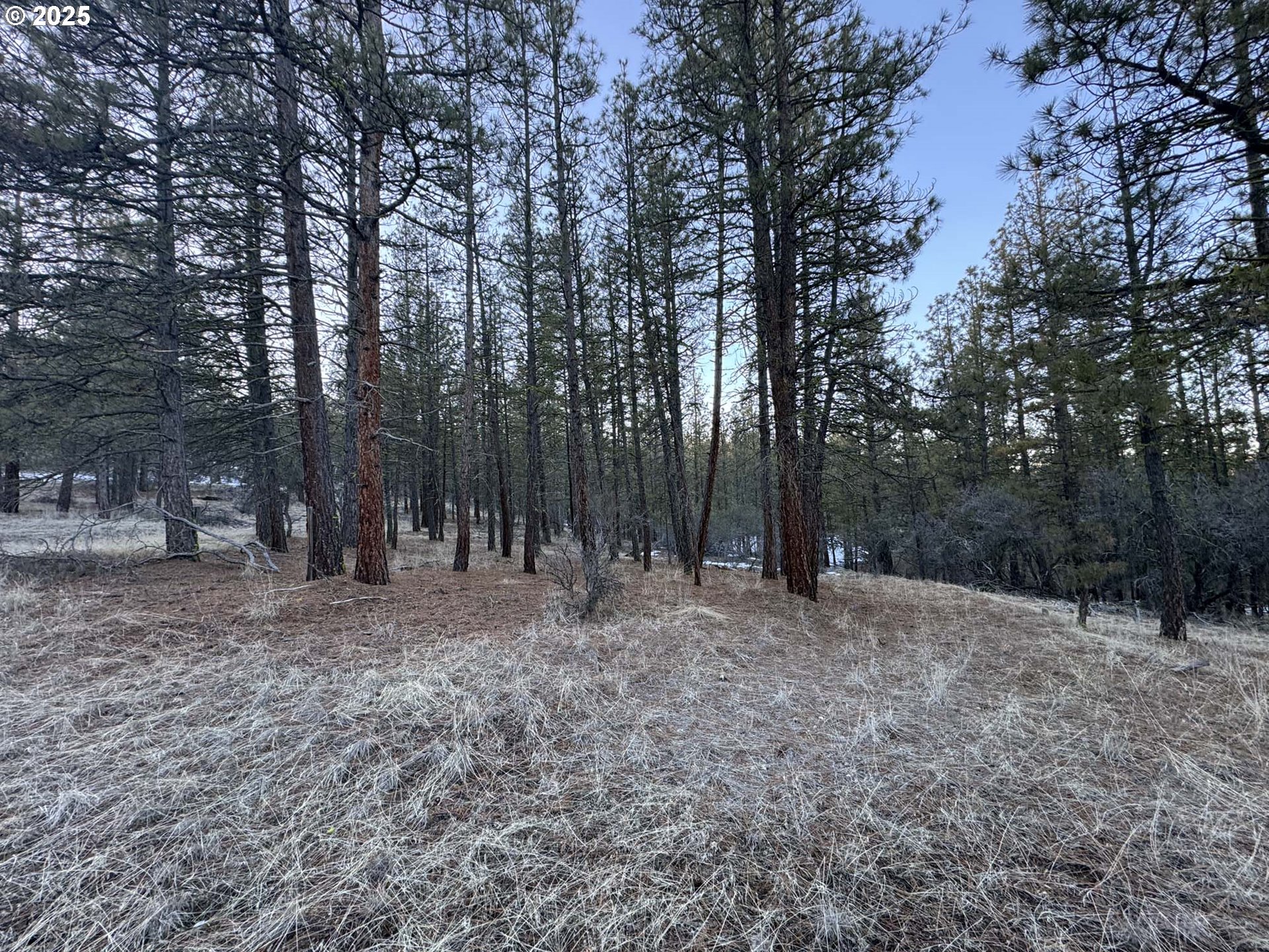 Bobcat Cir Lot 7 Property Photo 5