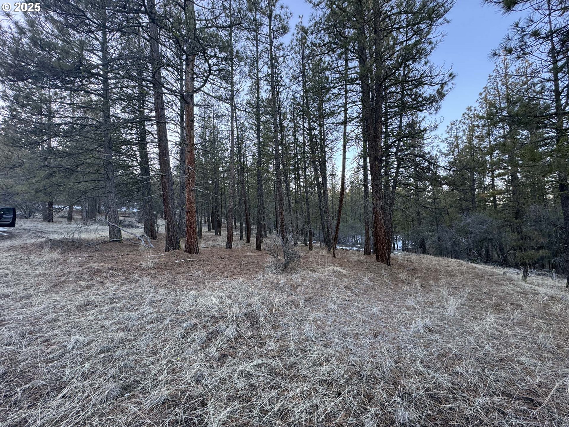 Bobcat Cir Lot 7 Property Photo 6