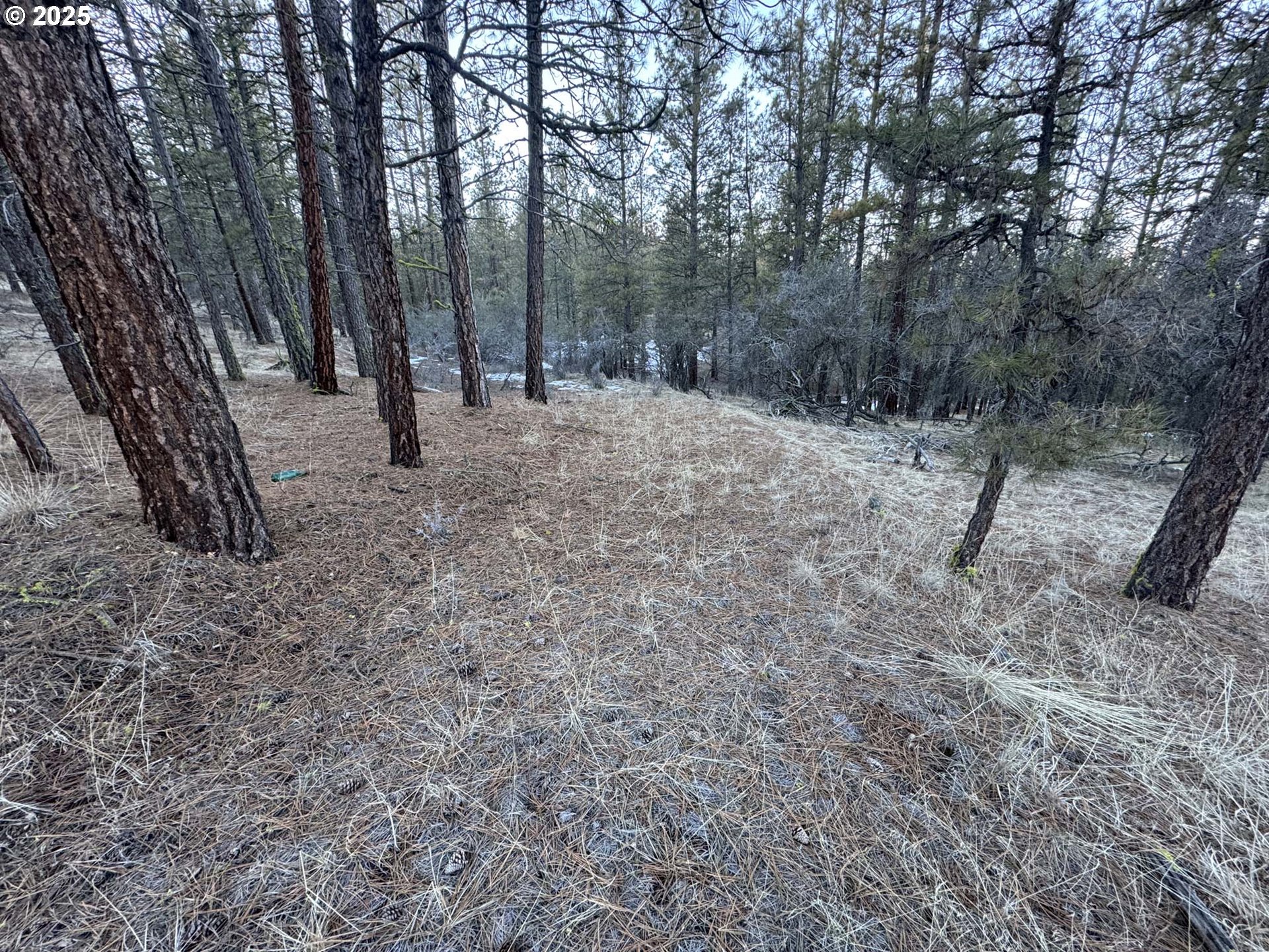 Bobcat Cir Lot 7 Property Photo 7