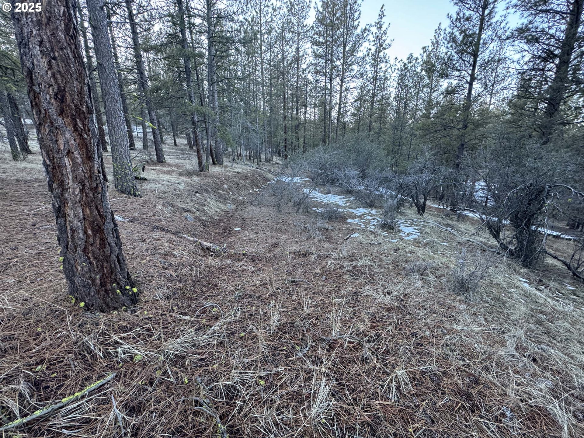 Bobcat Cir Lot 7 Property Photo 8