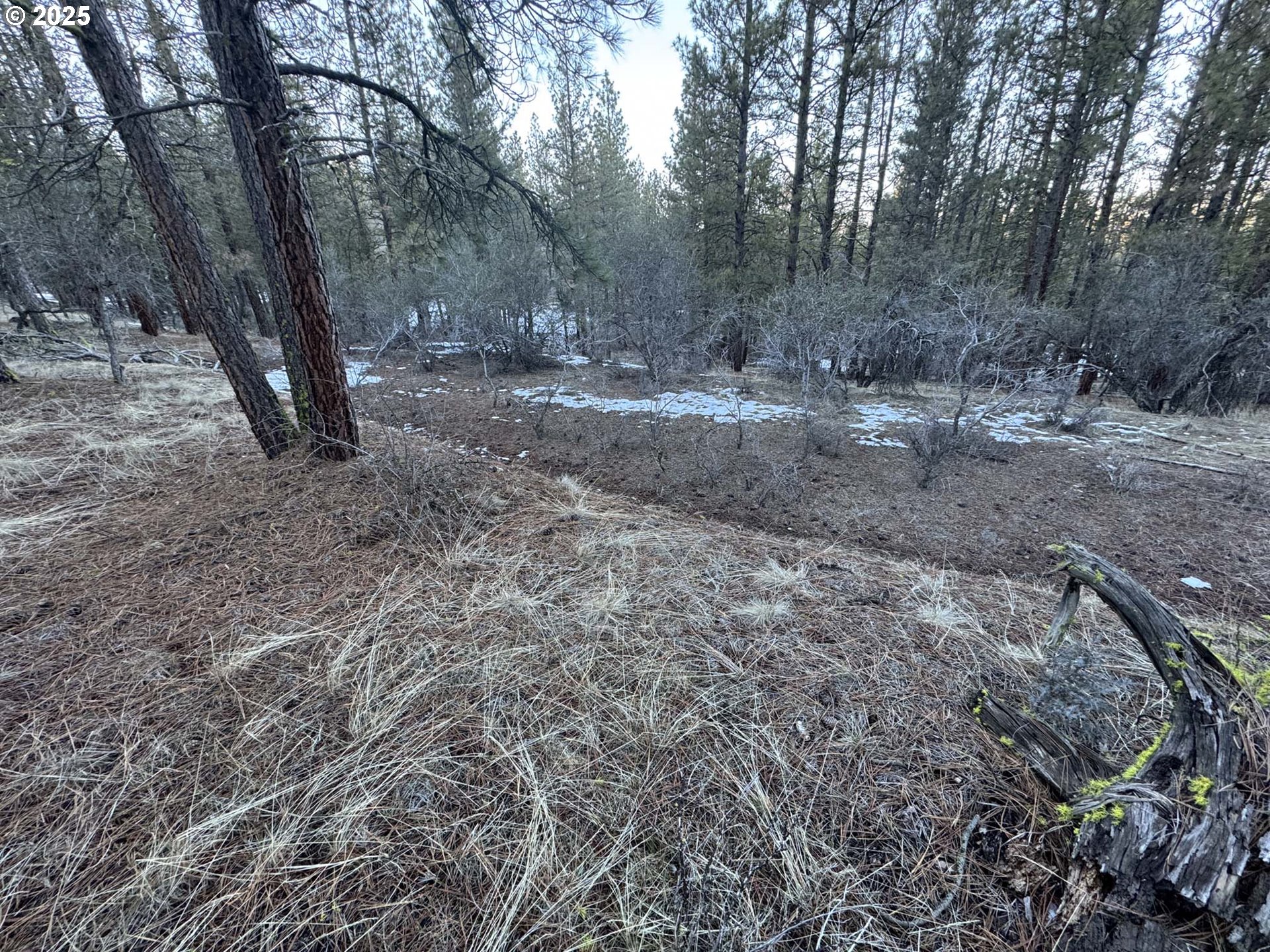 Bobcat Cir Lot 7 Property Photo 9