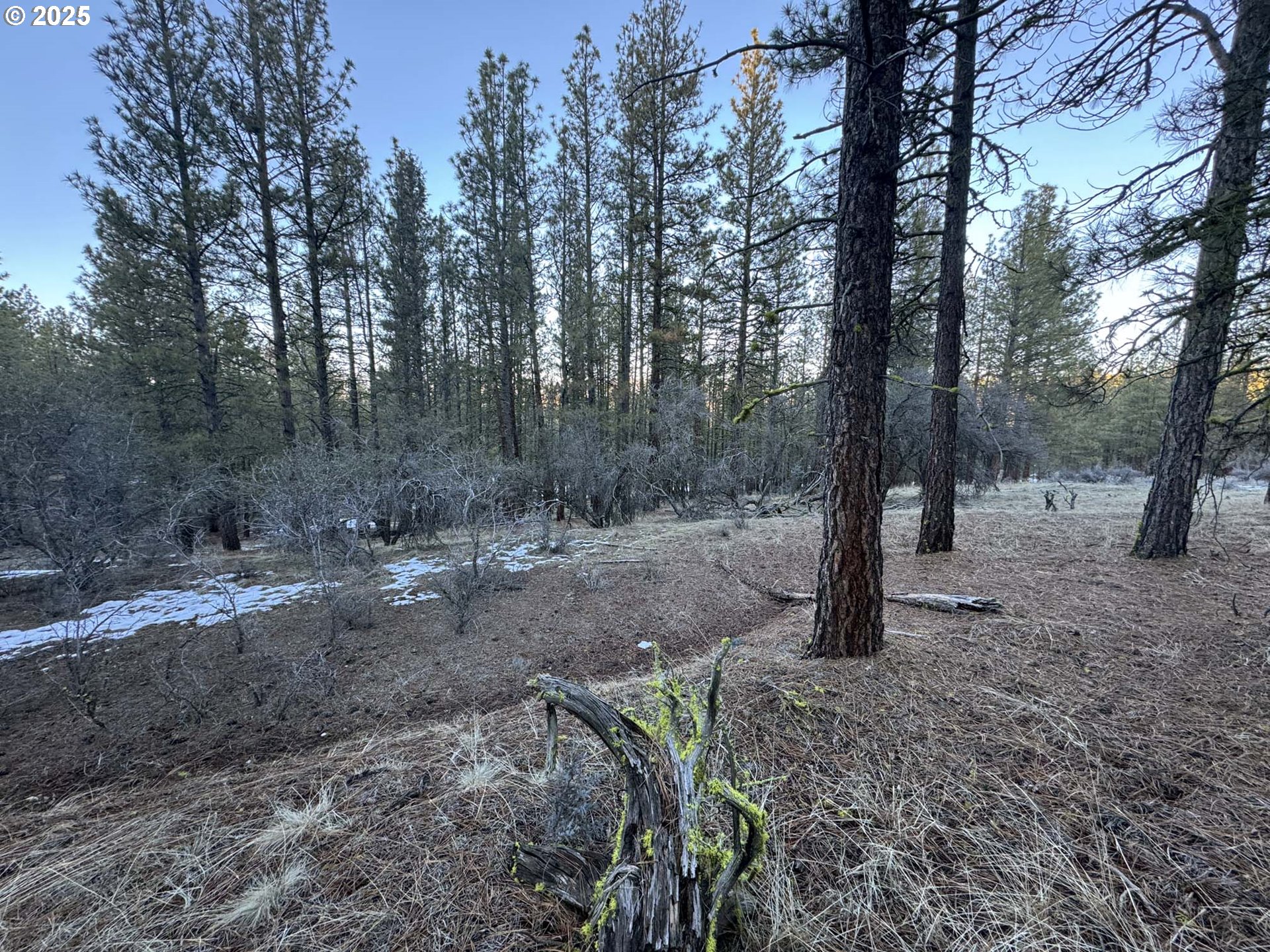 Bobcat Cir Lot 7 Property Photo 10