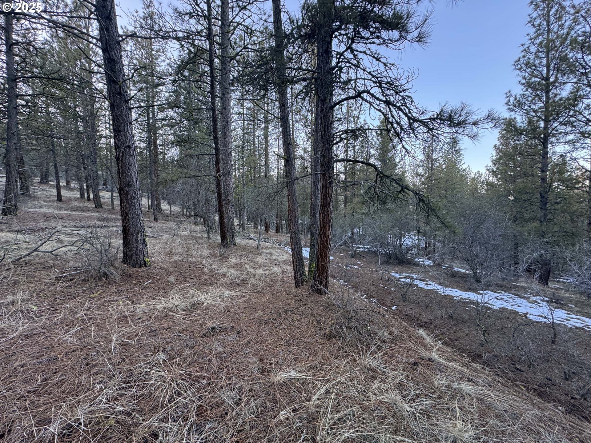 Bobcat Cir Lot 7 Property Photo 11