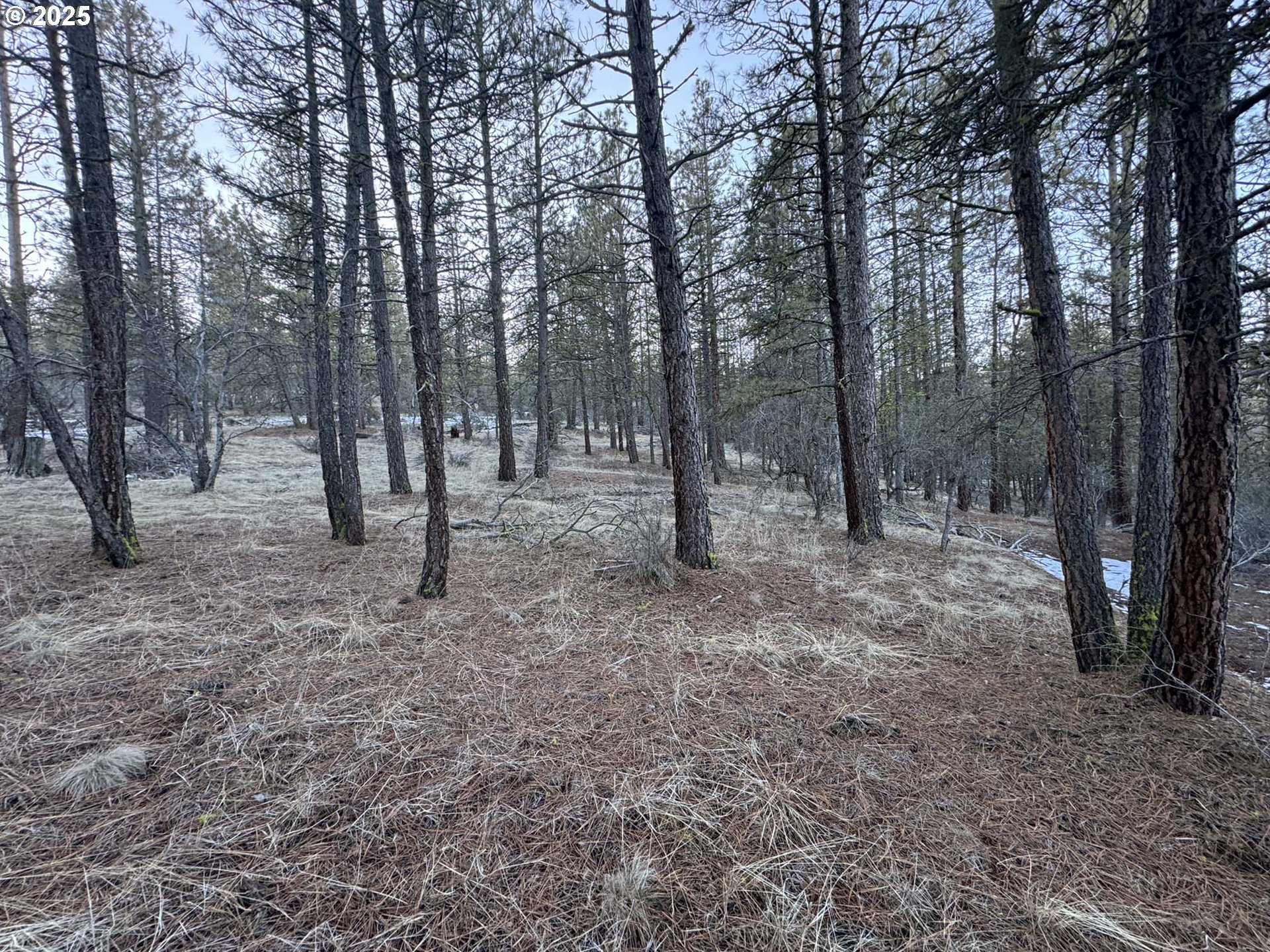 Bobcat Cir Lot 7 Property Photo 12