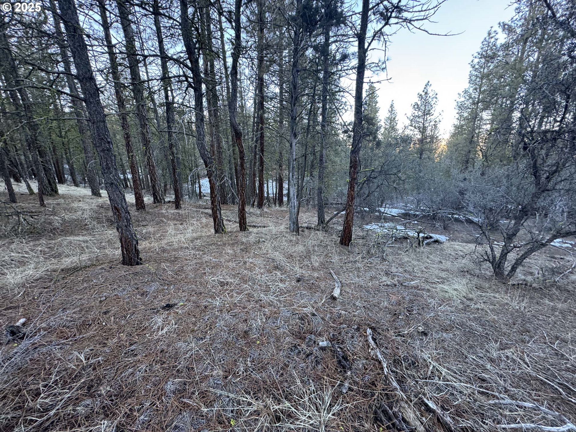 Bobcat Cir Lot 7 Property Photo 13