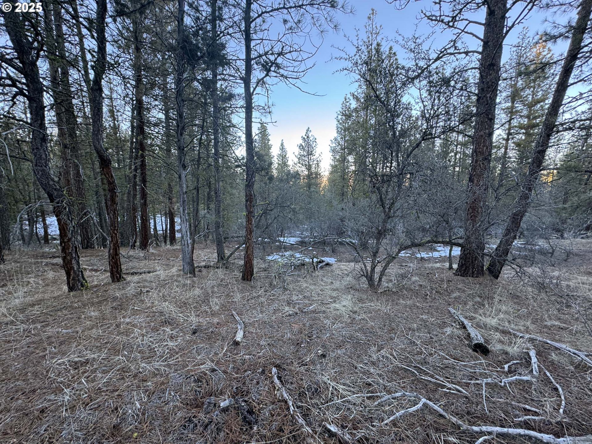 Bobcat Cir Lot 7 Property Photo 14