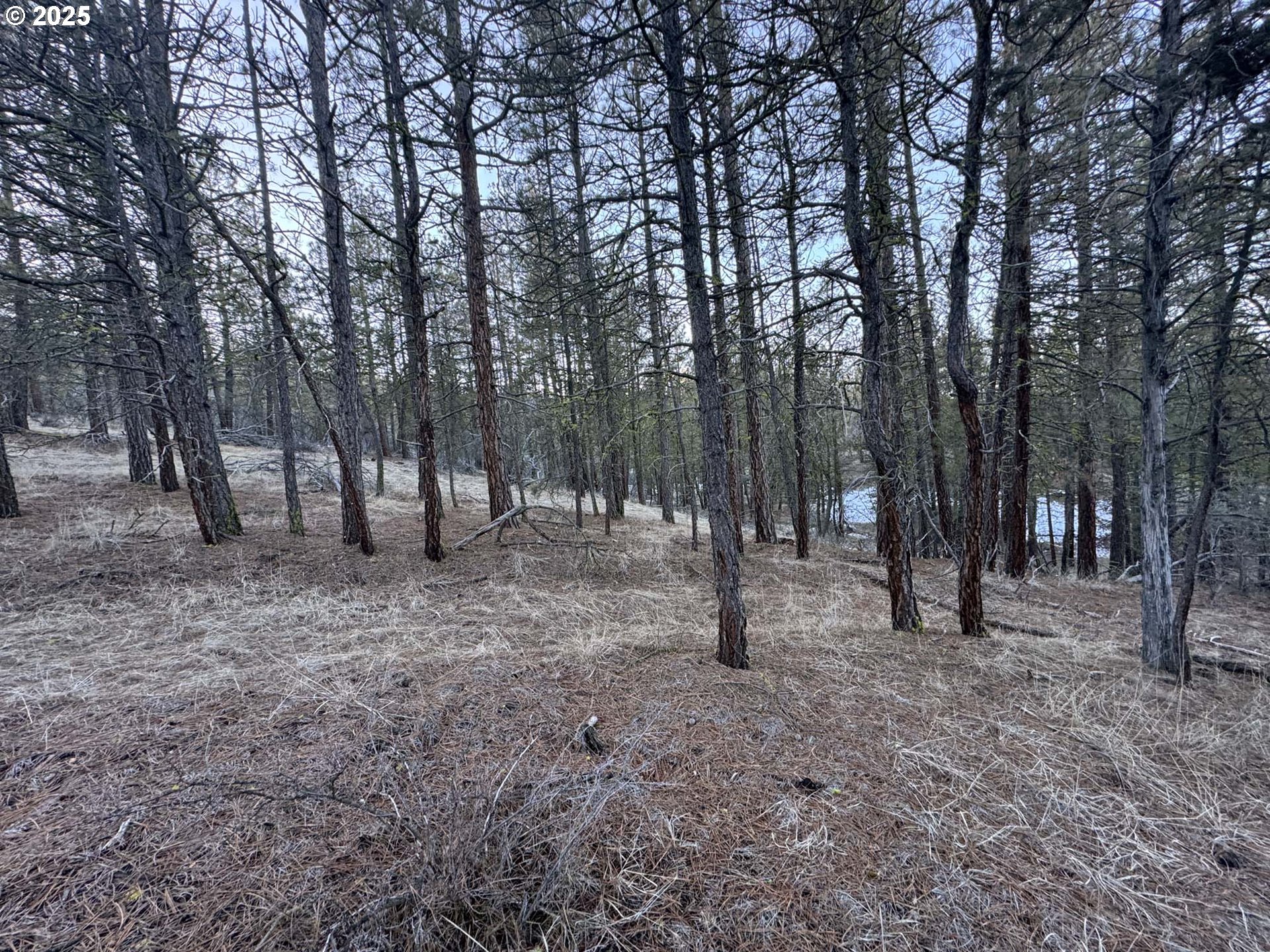 Bobcat Cir Lot 7 Property Photo 15