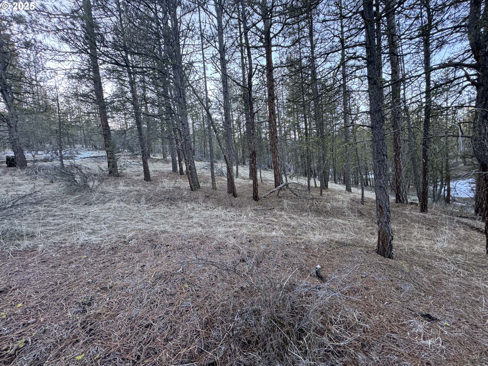 Bobcat Cir Lot 7 Property Photo 16