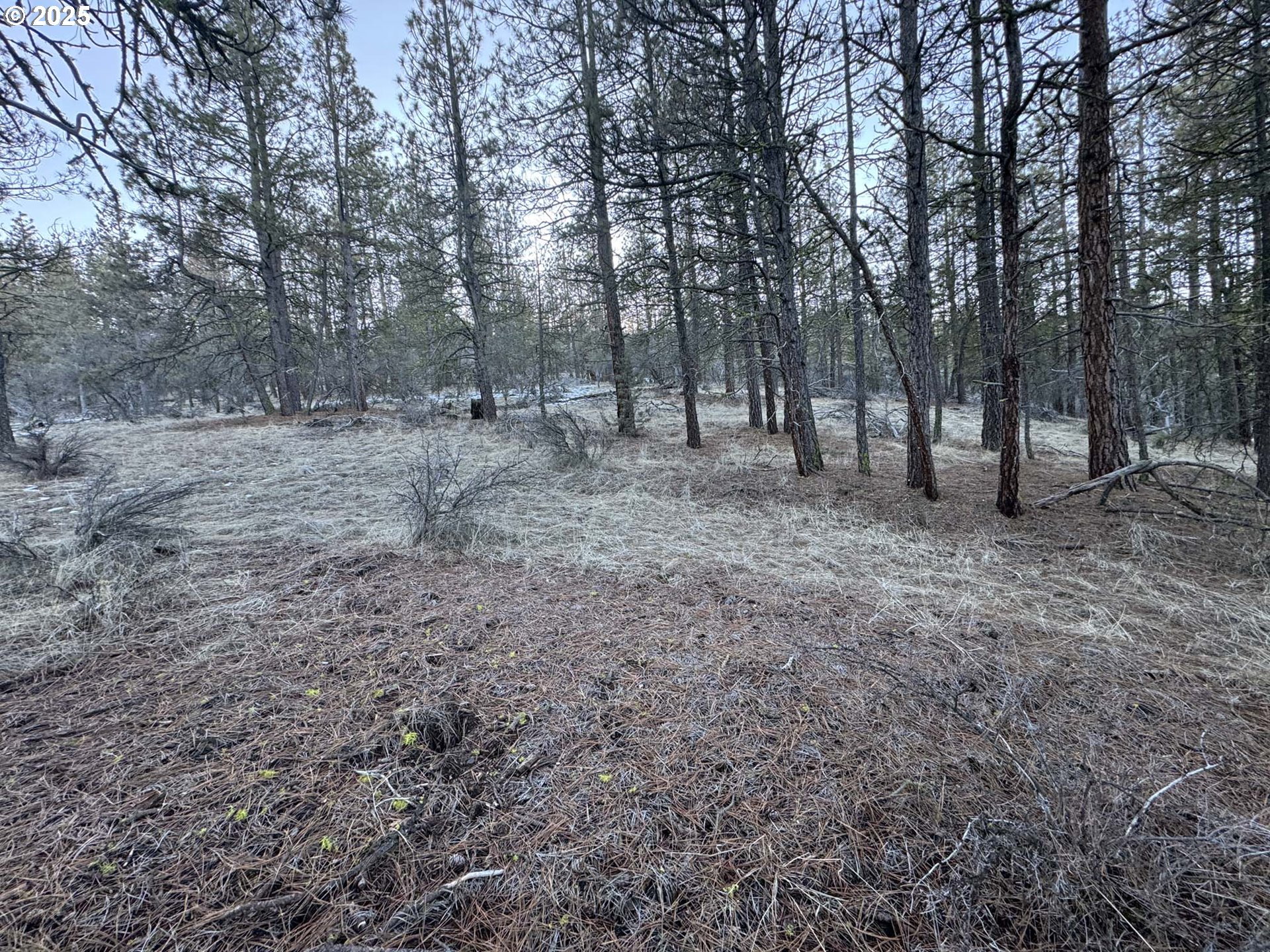 Bobcat Cir Lot 7 Property Photo 17