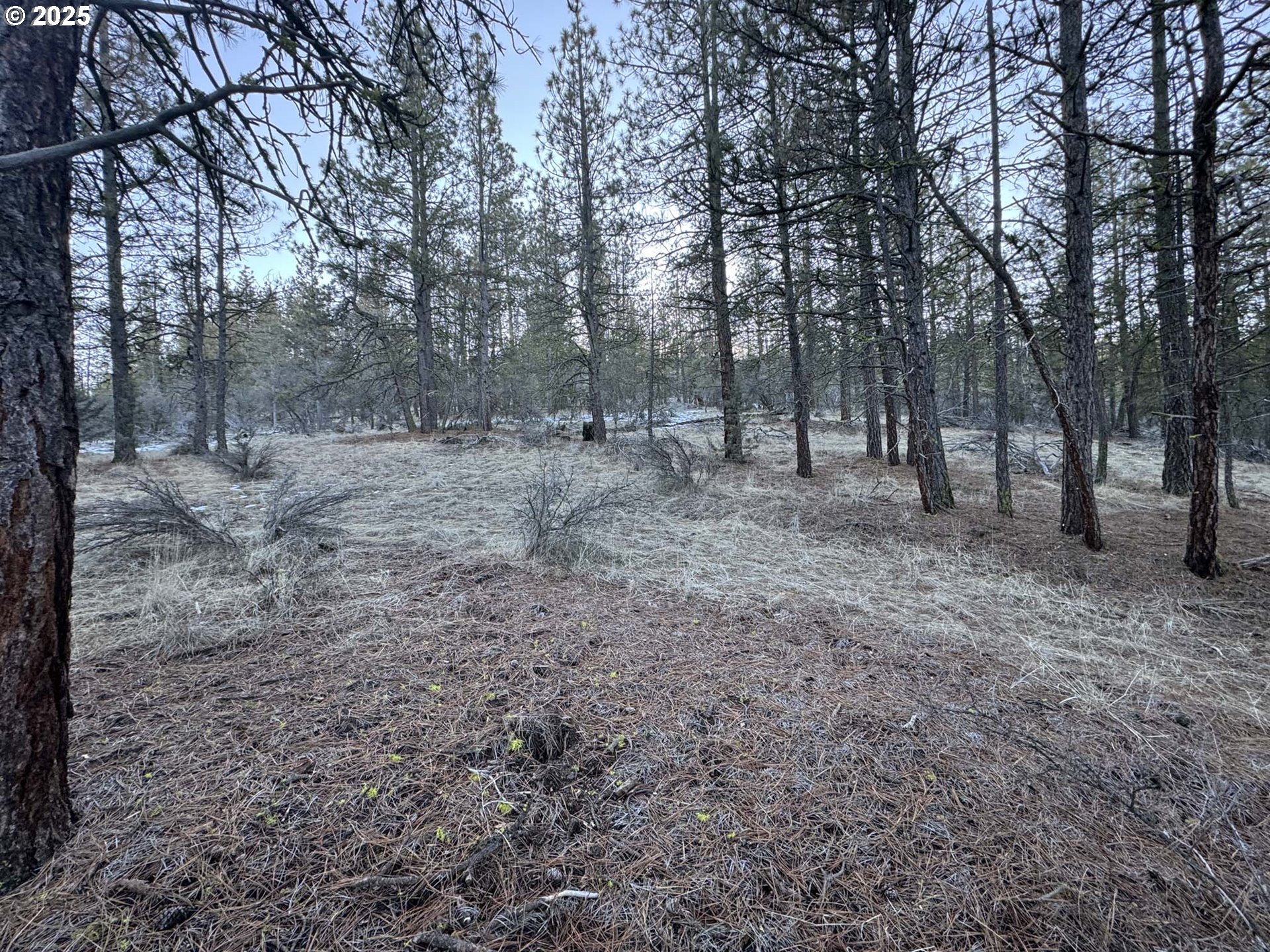 Bobcat Cir Lot 7 Property Photo 18