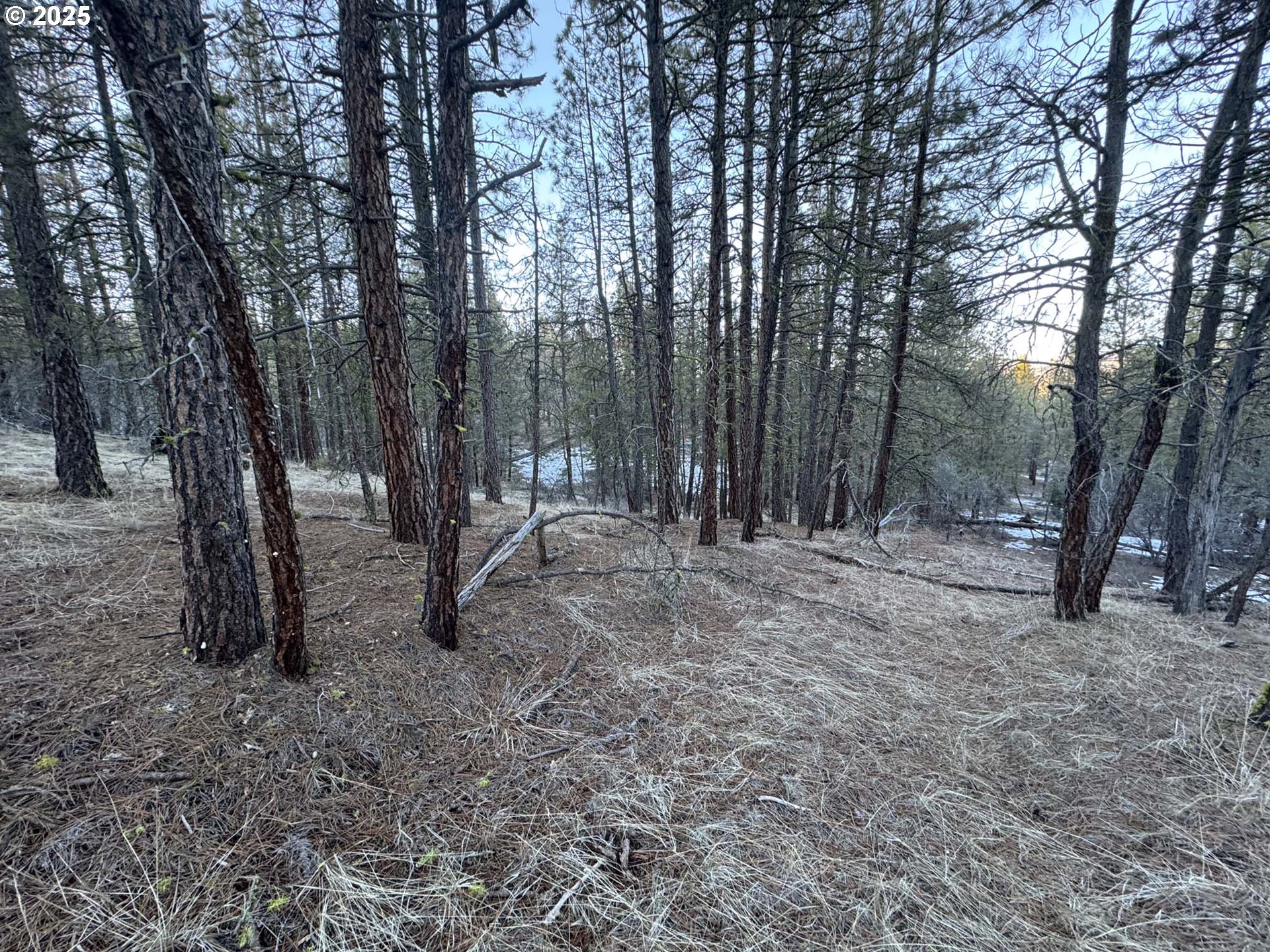 Bobcat Cir Lot 7 Property Photo 19