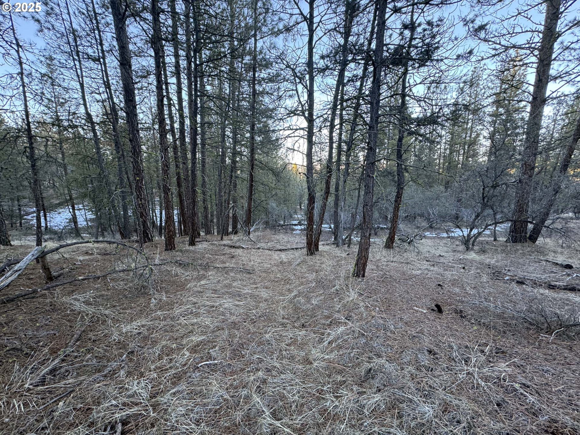 Bobcat Cir Lot 7 Property Photo 20