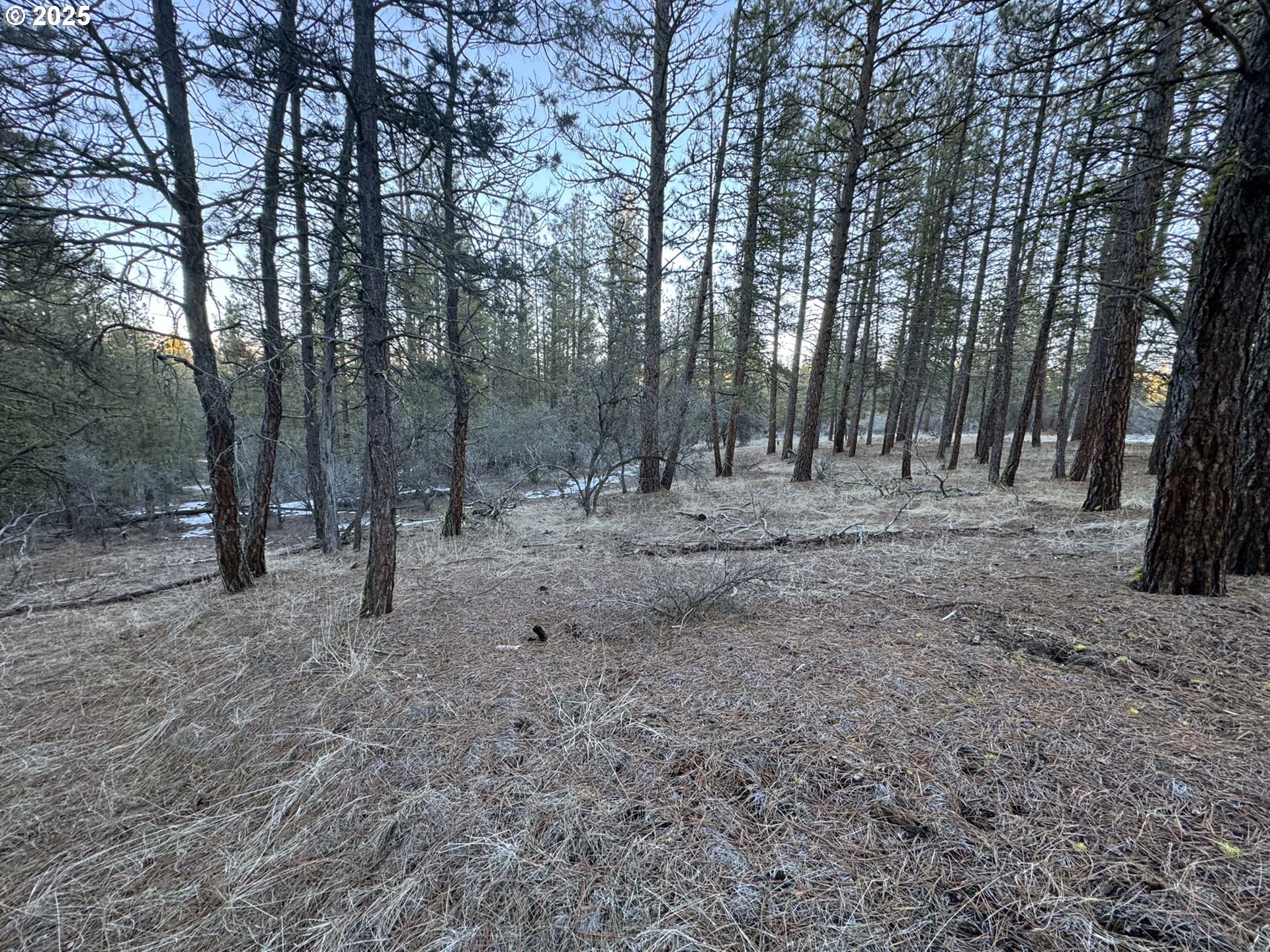 Bobcat Cir Lot 7 Property Photo 21