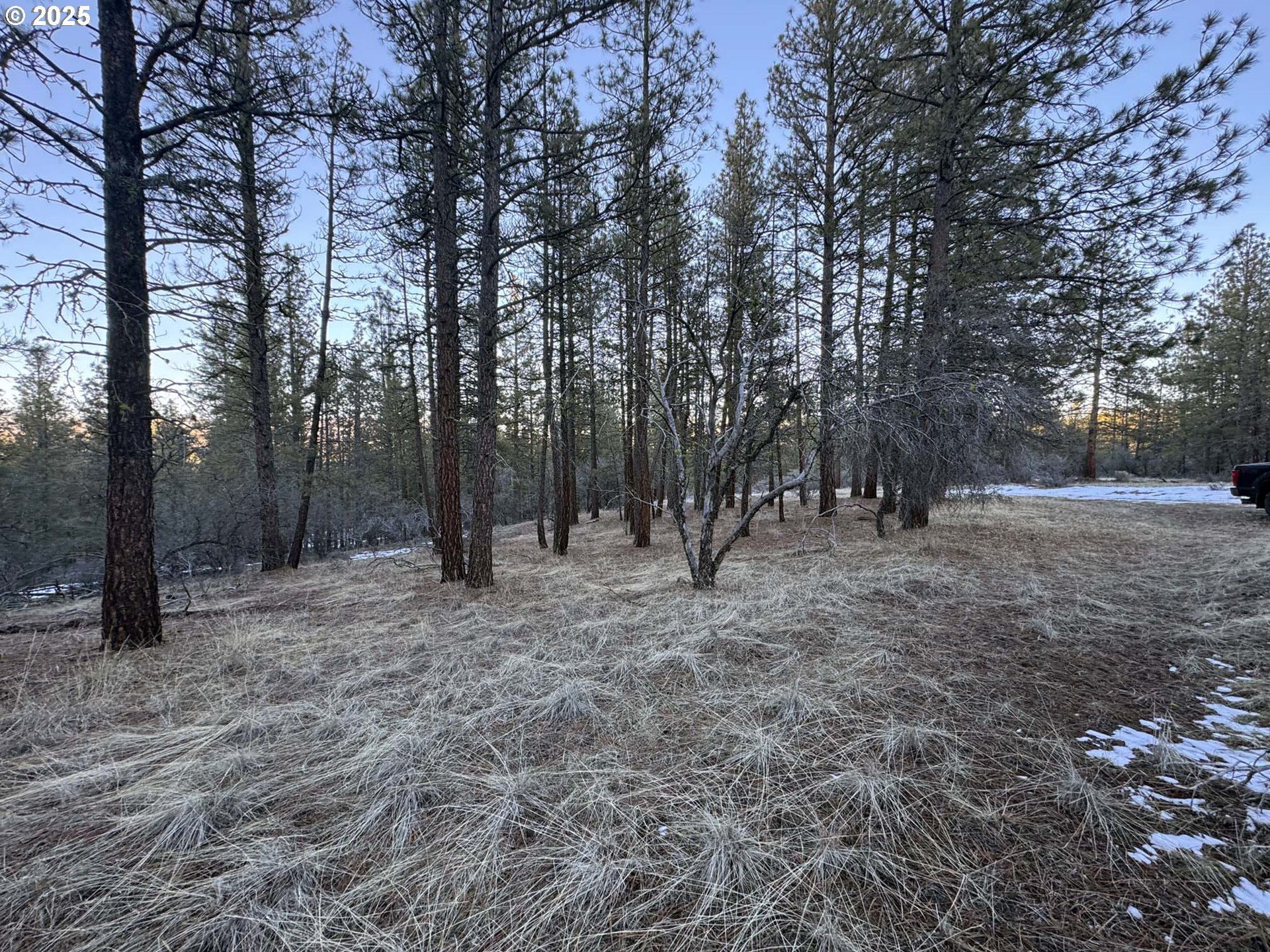 Bobcat Cir Lot 7 Property Photo 22
