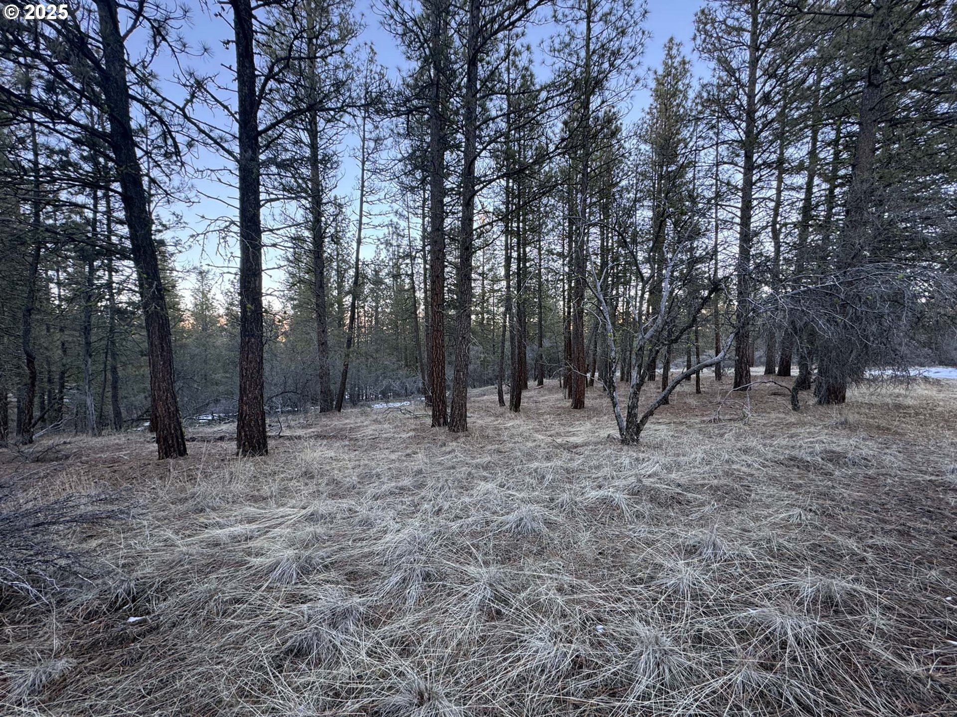Bobcat Cir Lot 7 Property Photo 23