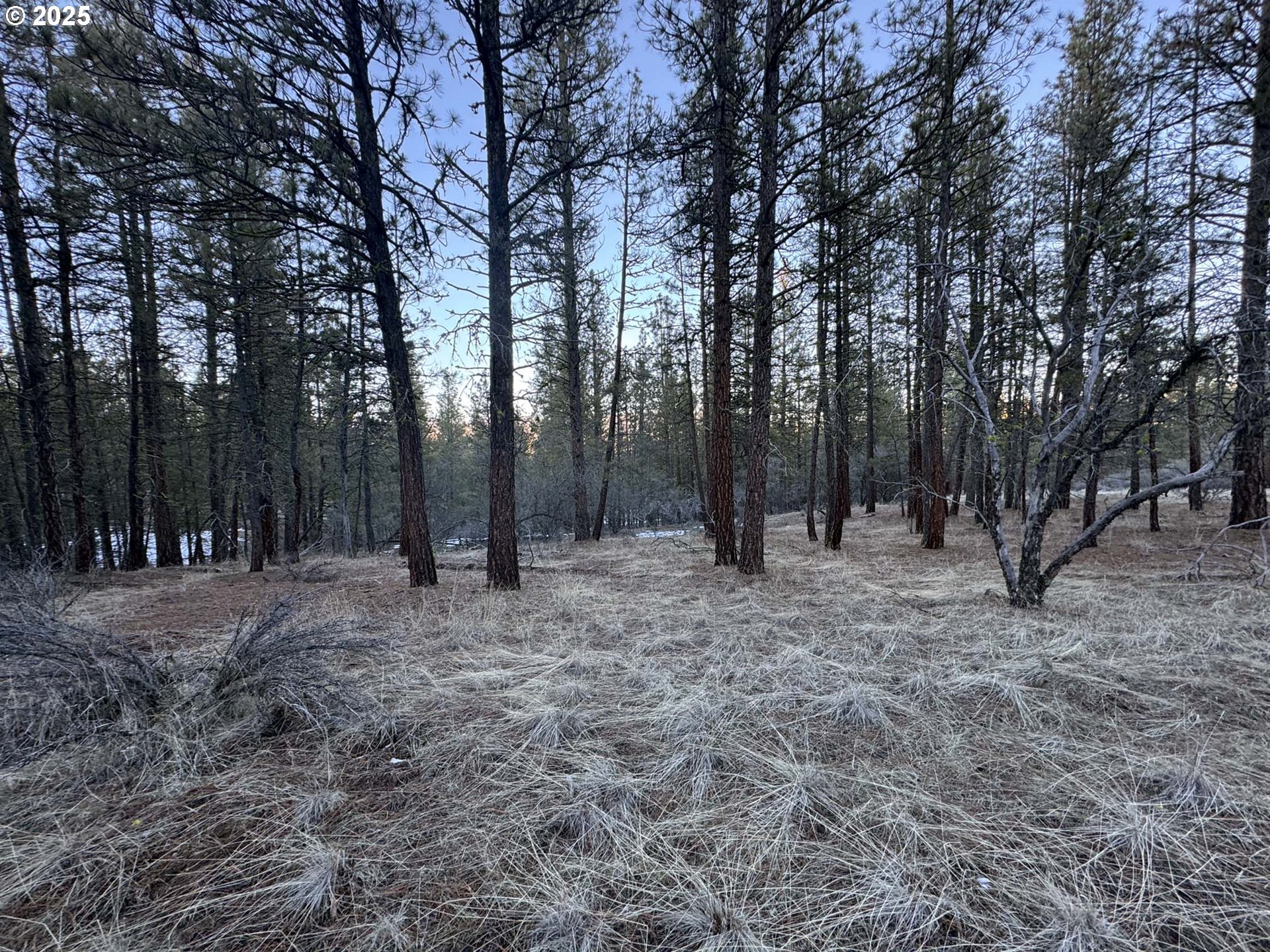 Bobcat Cir Lot 7 Property Photo 24