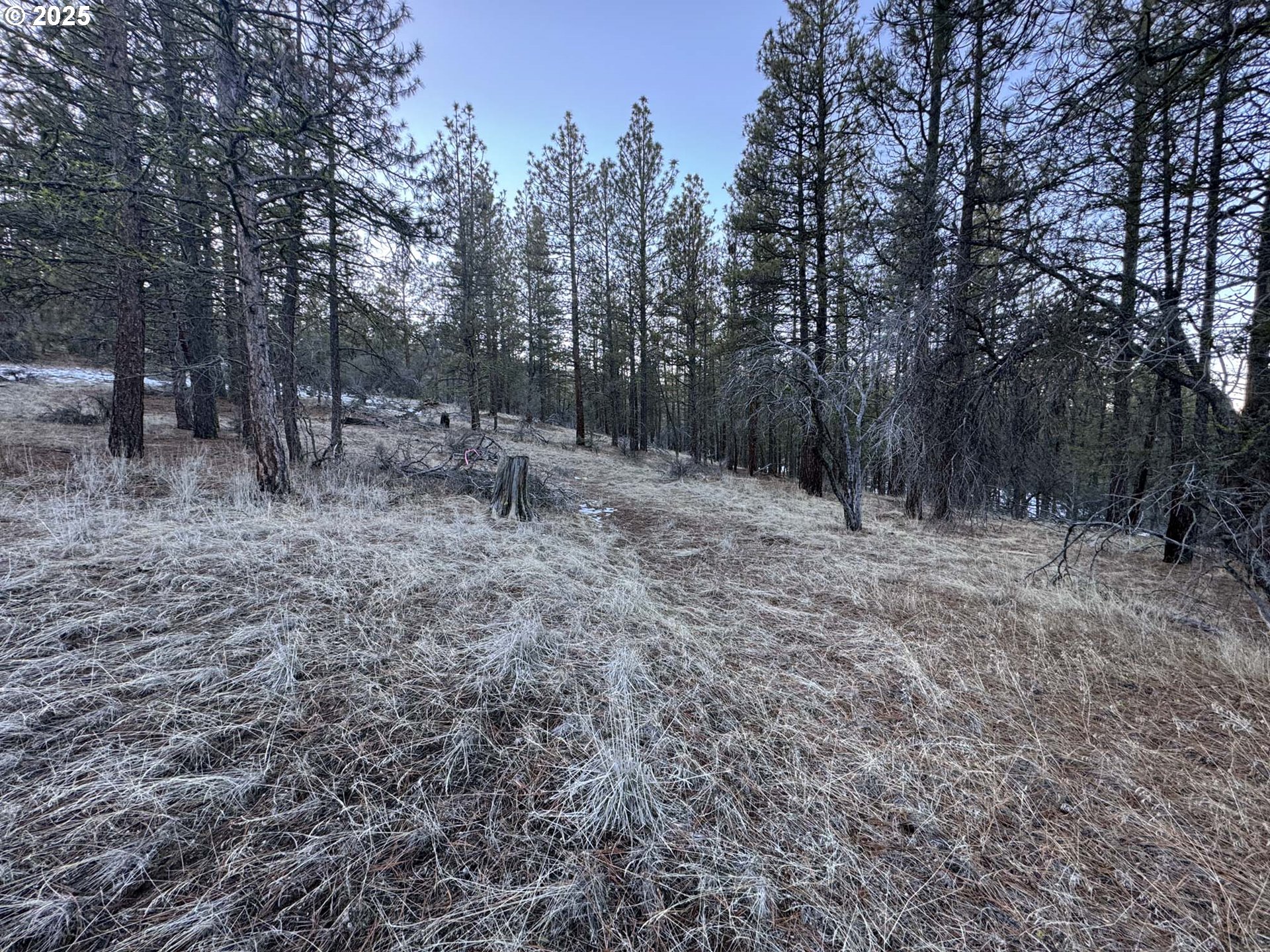 Bobcat Cir Lot 7 Property Photo 25
