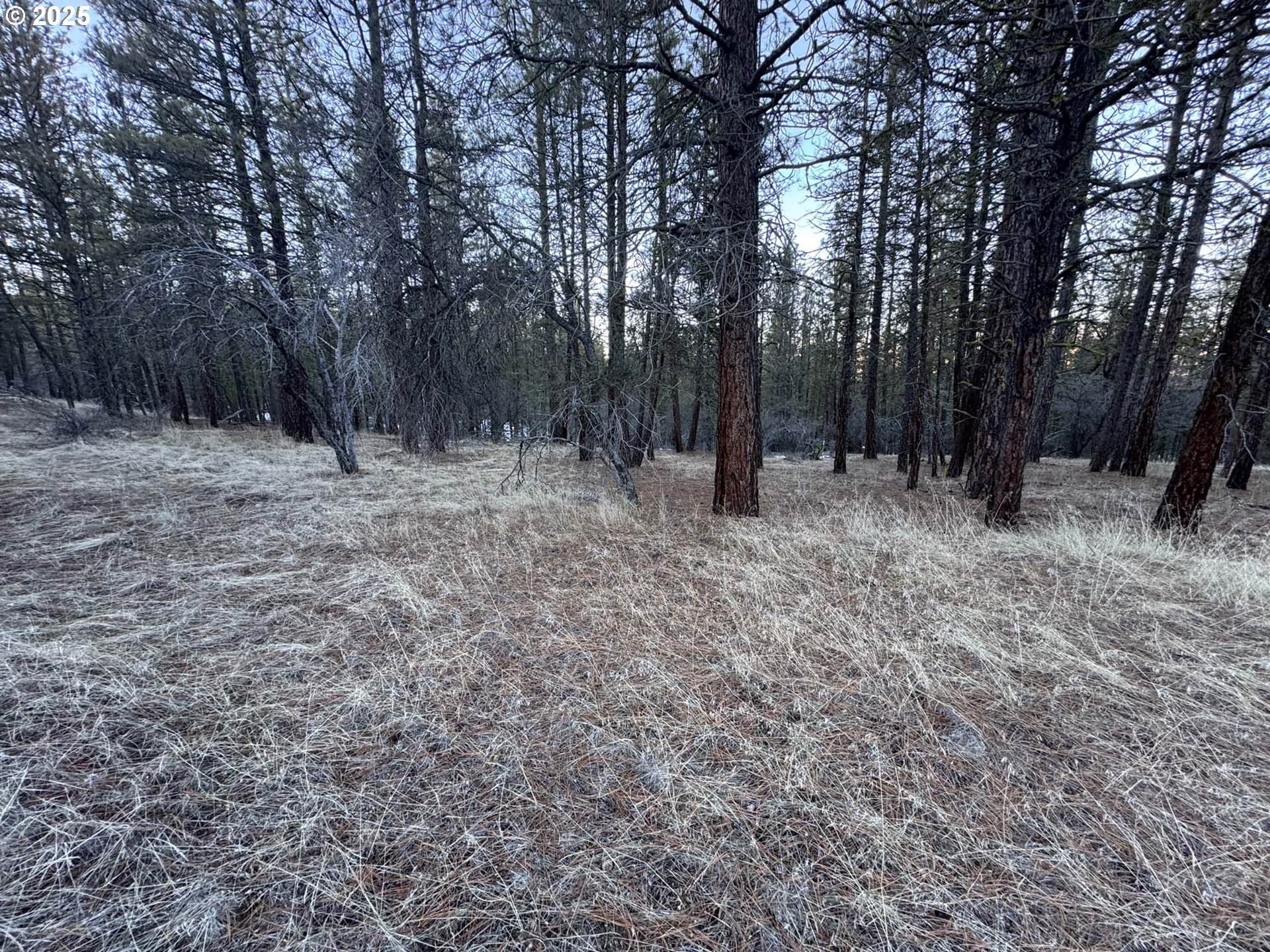 Bobcat Cir Lot 7 Property Photo 27