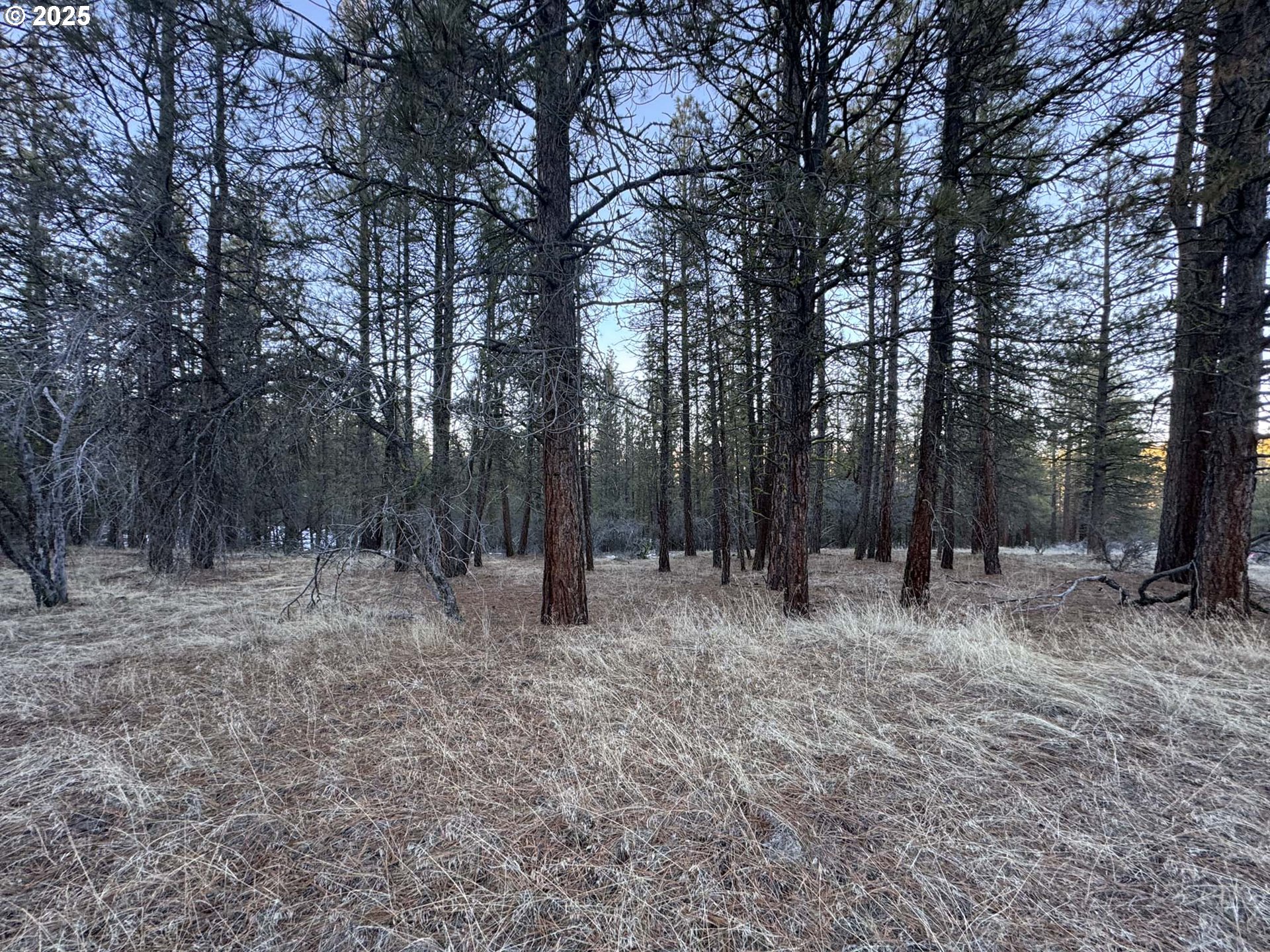 Bobcat Cir Lot 7 Property Photo 28